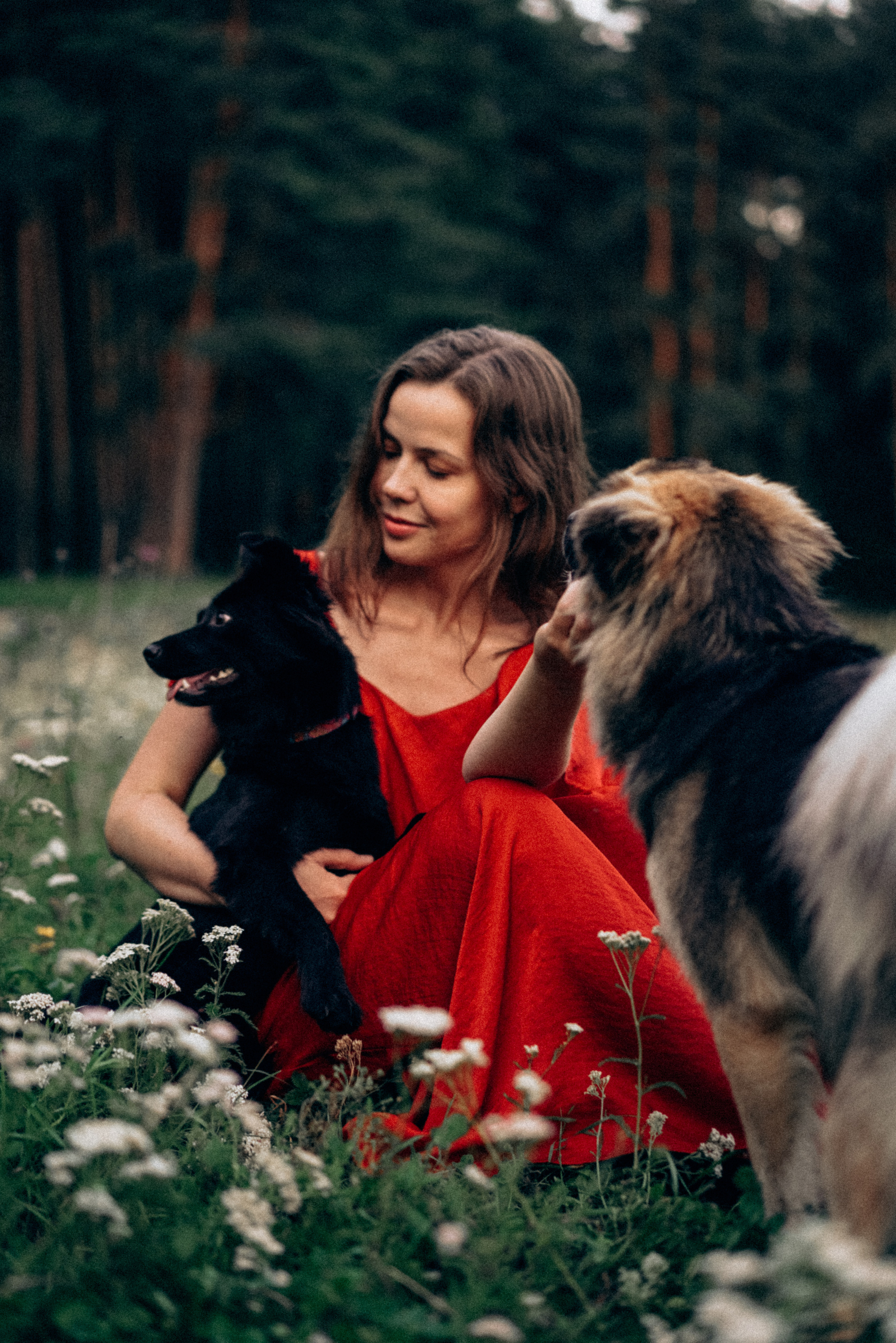 Юля, Сэра и Лютик. Фотограф Казань