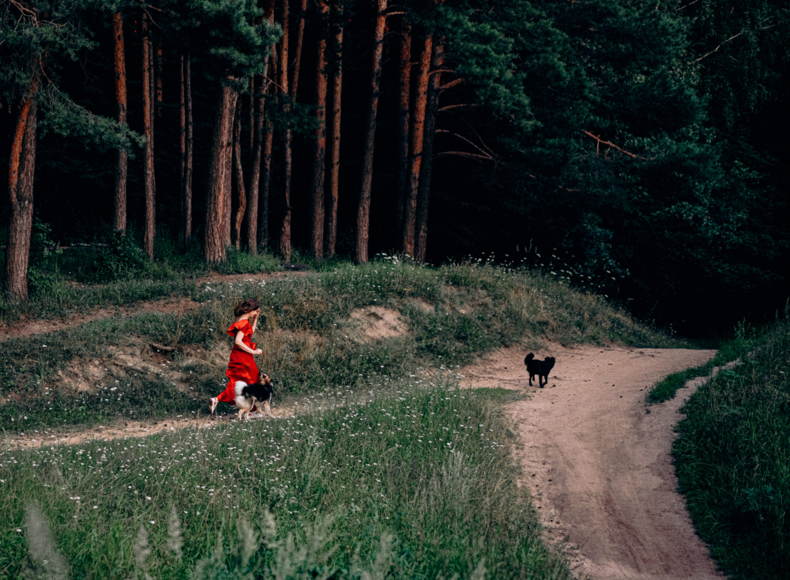 Юля, Сэра и Лютик. Фотограф Казань