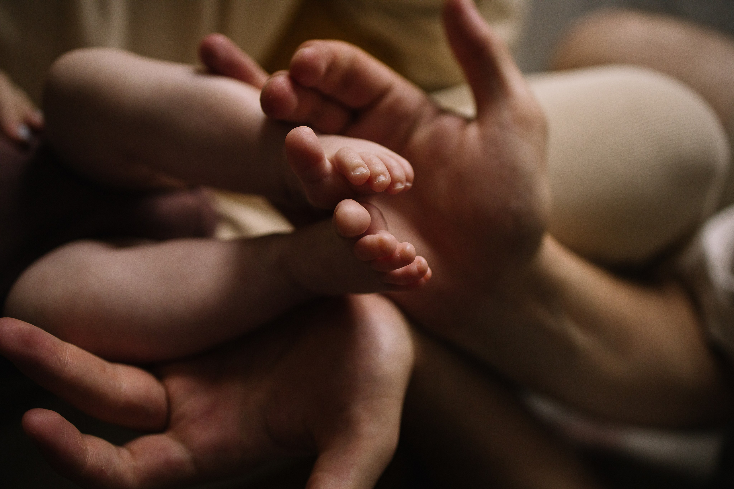 Домашняя фотосессия с новорожденным. Семейный фотограф в Томске Максимова Екатерина