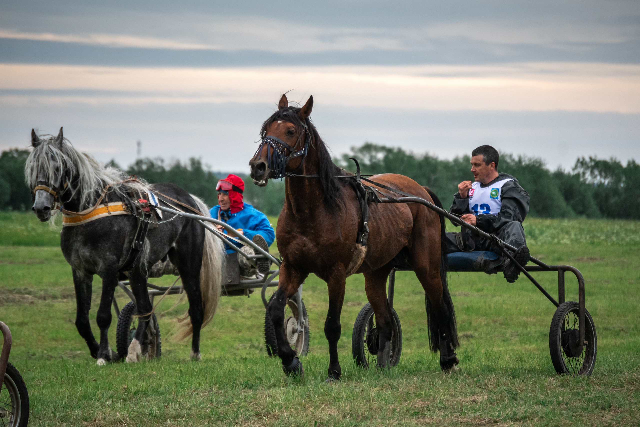 Луд 2023. Фотограф в с. Ижма Республика Коми Терентьев Сергей