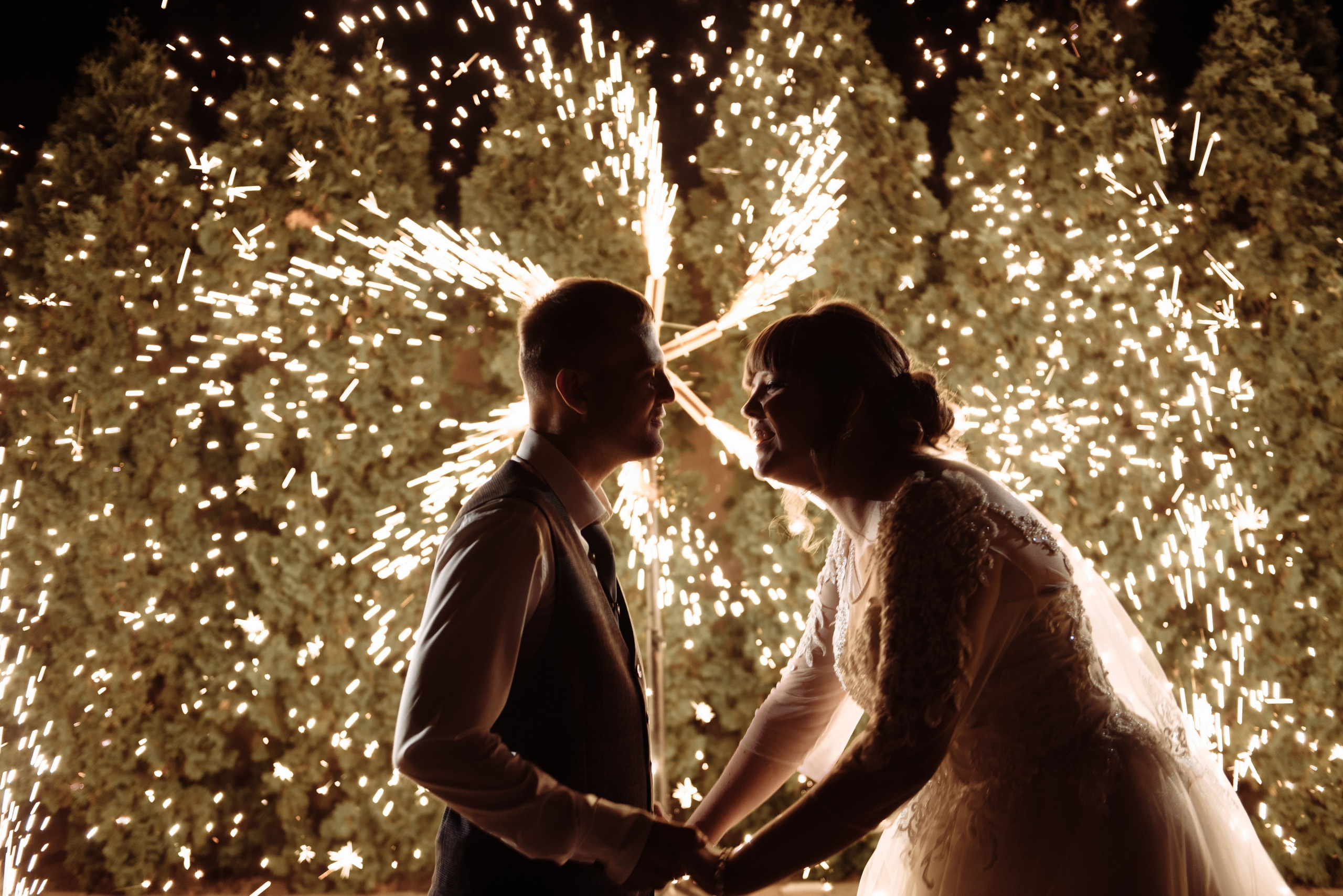 Свадьба Анны и Дмитрия. Свадебный фотограф Дмитрий Высоцкий | Ростов-на-Дону