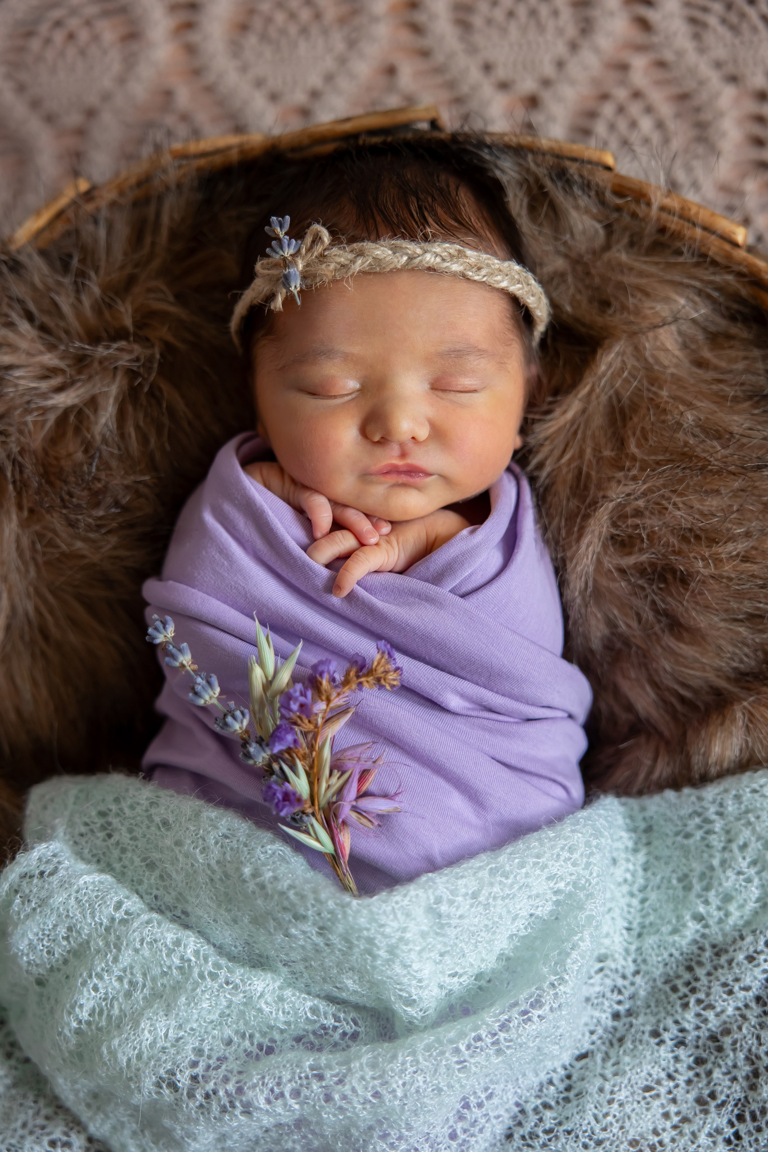 Кира лаванда. Оксана Ромашкина- семейный и ньюборн фотограф из Москвы