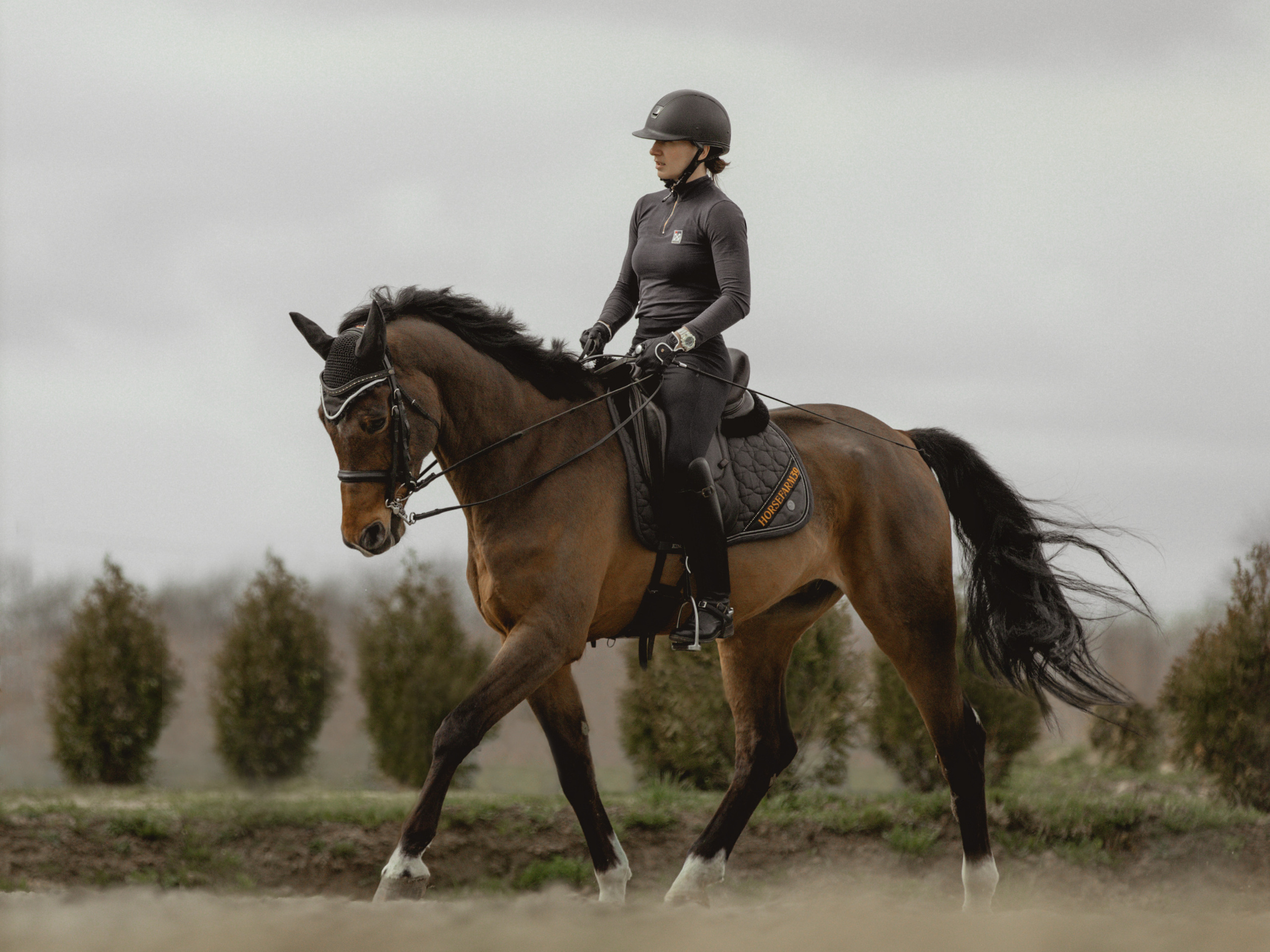 Спортивные фото/видео съёмки (конкур, выездка). Конный фотограф в Калининграде Елена Курбатова