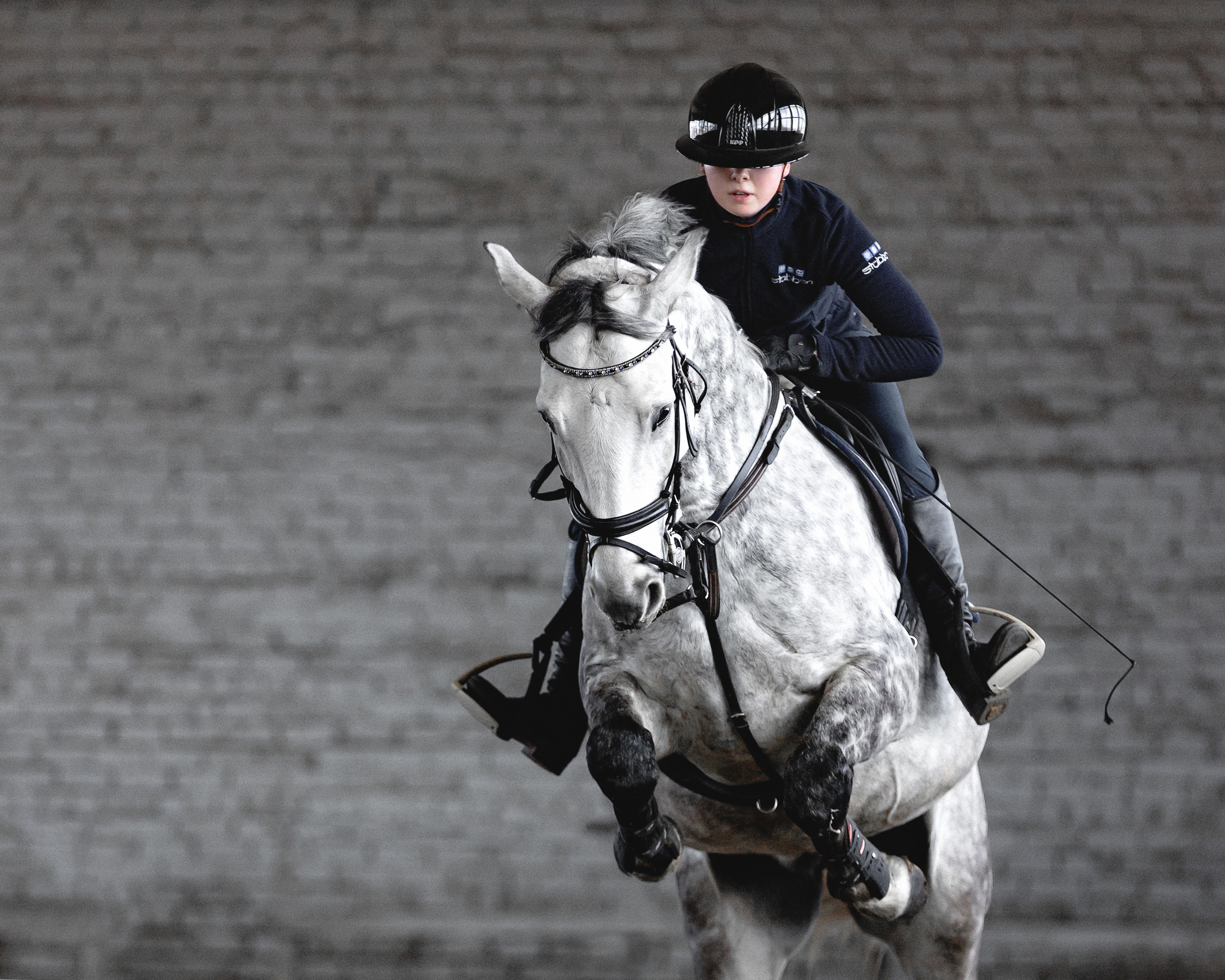 Спортивные фото/видео съёмки (конкур, выездка). Конный фотограф в Калининграде Елена Курбатова