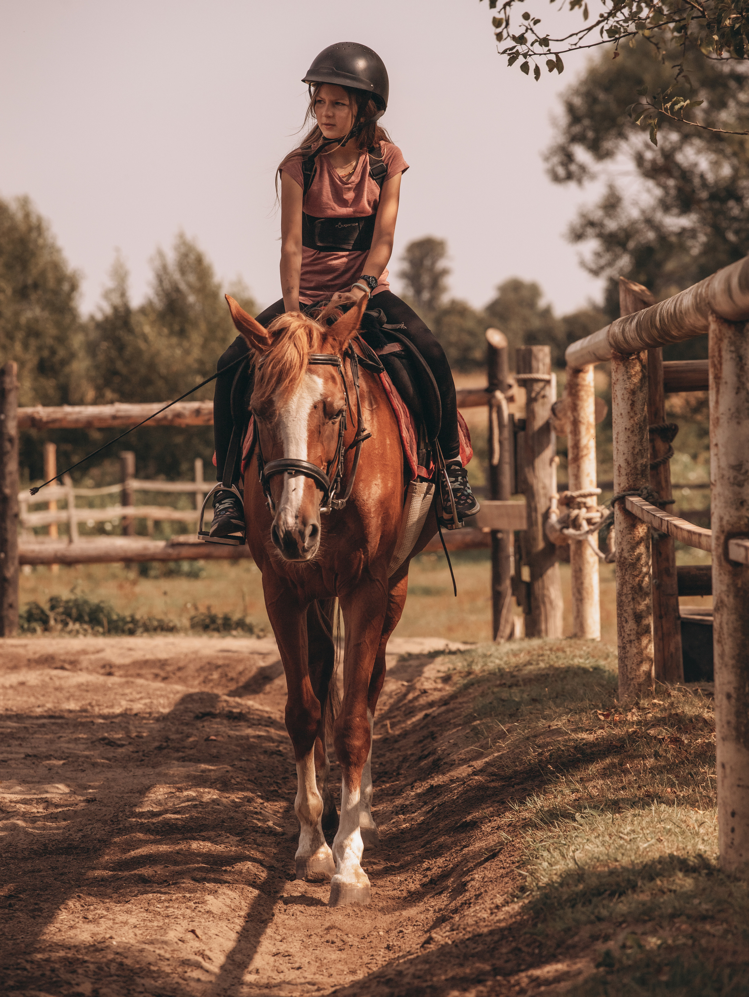 Отзывы. Конный фотограф в Калининграде Елена Курбатова