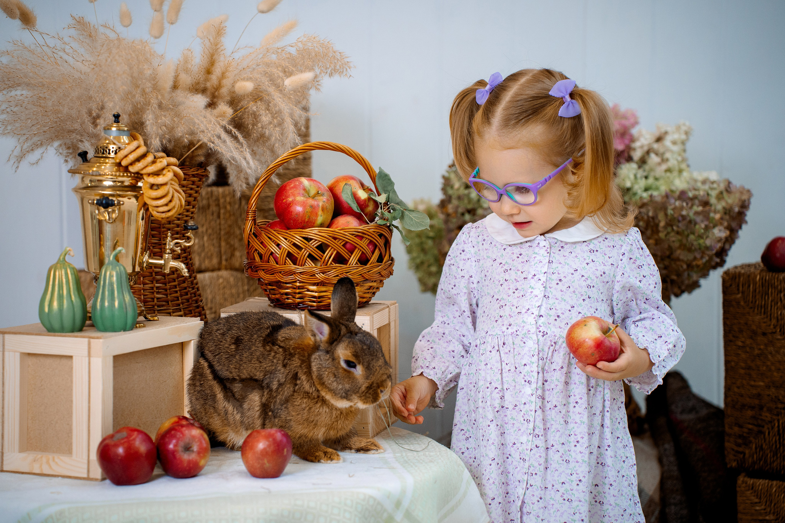 Кролик. Фотограф Казакова Анастасия