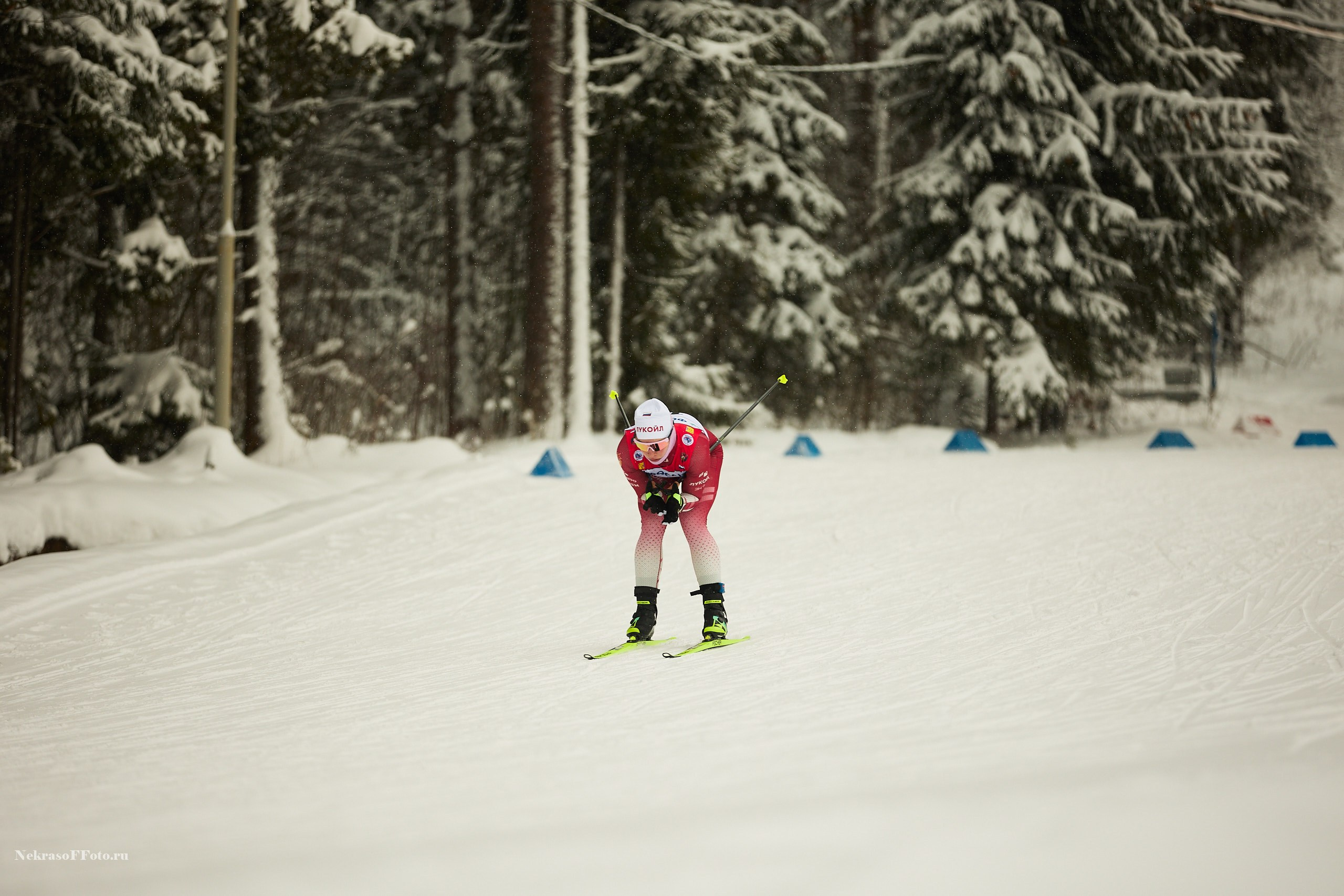 Кубок России по Лыжным гонкам. Спортивный фотограф Некрасов Денис