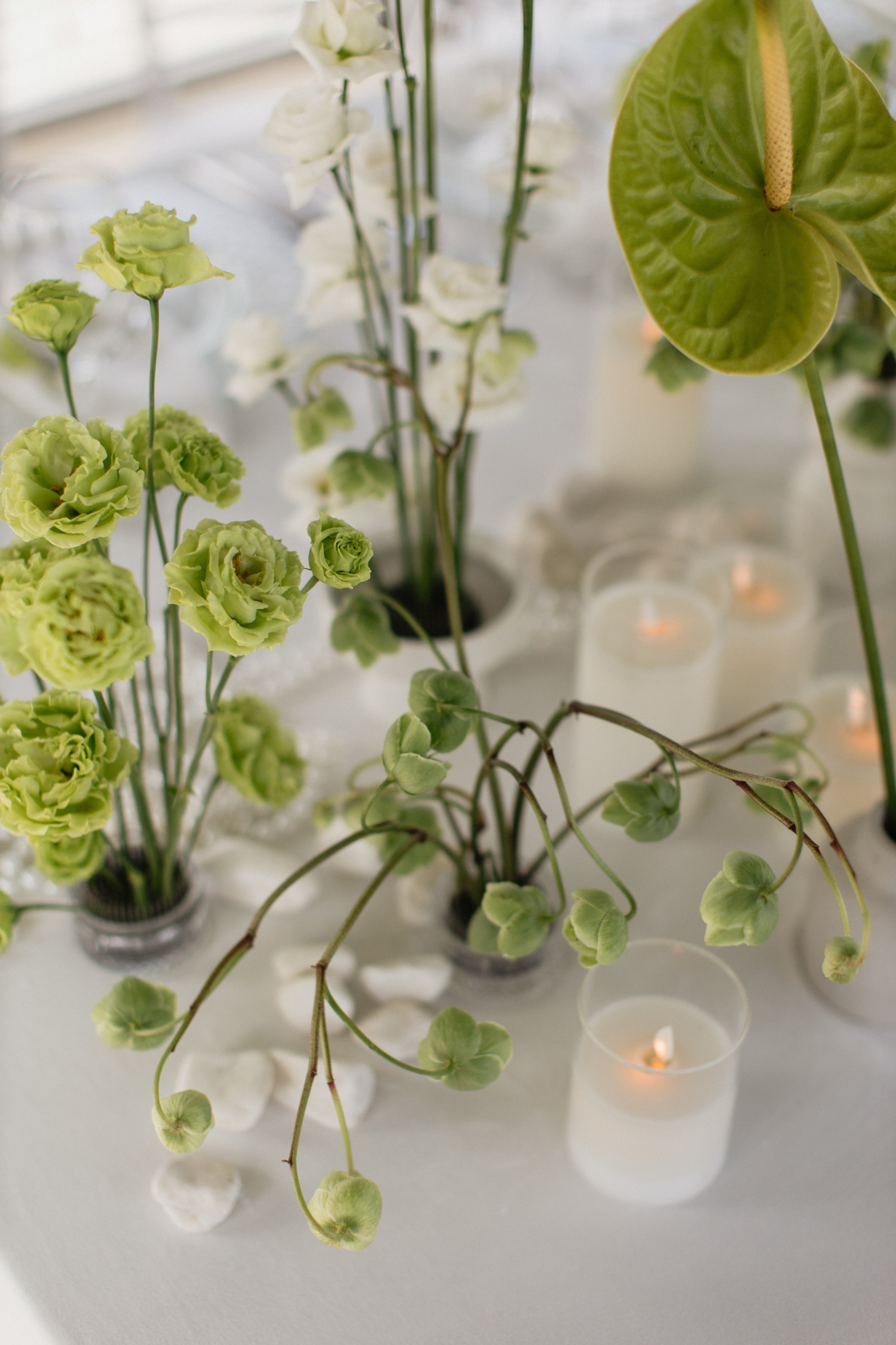 Андрей & Лера | ROBINSON CLUB. Свадебный фотограф в Минске Владислав Бабич