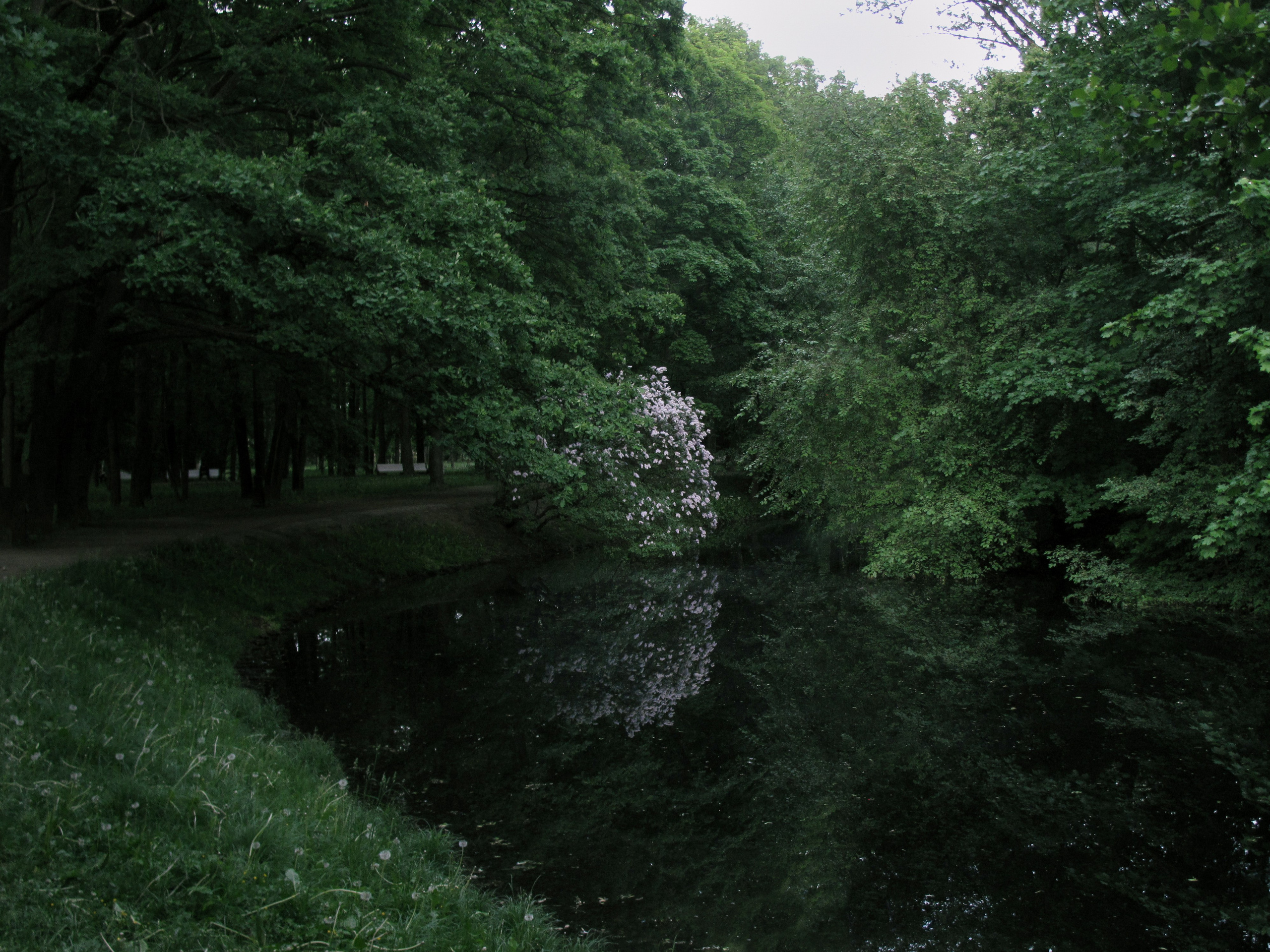 How to be lonely. Breus Sasha photography & art