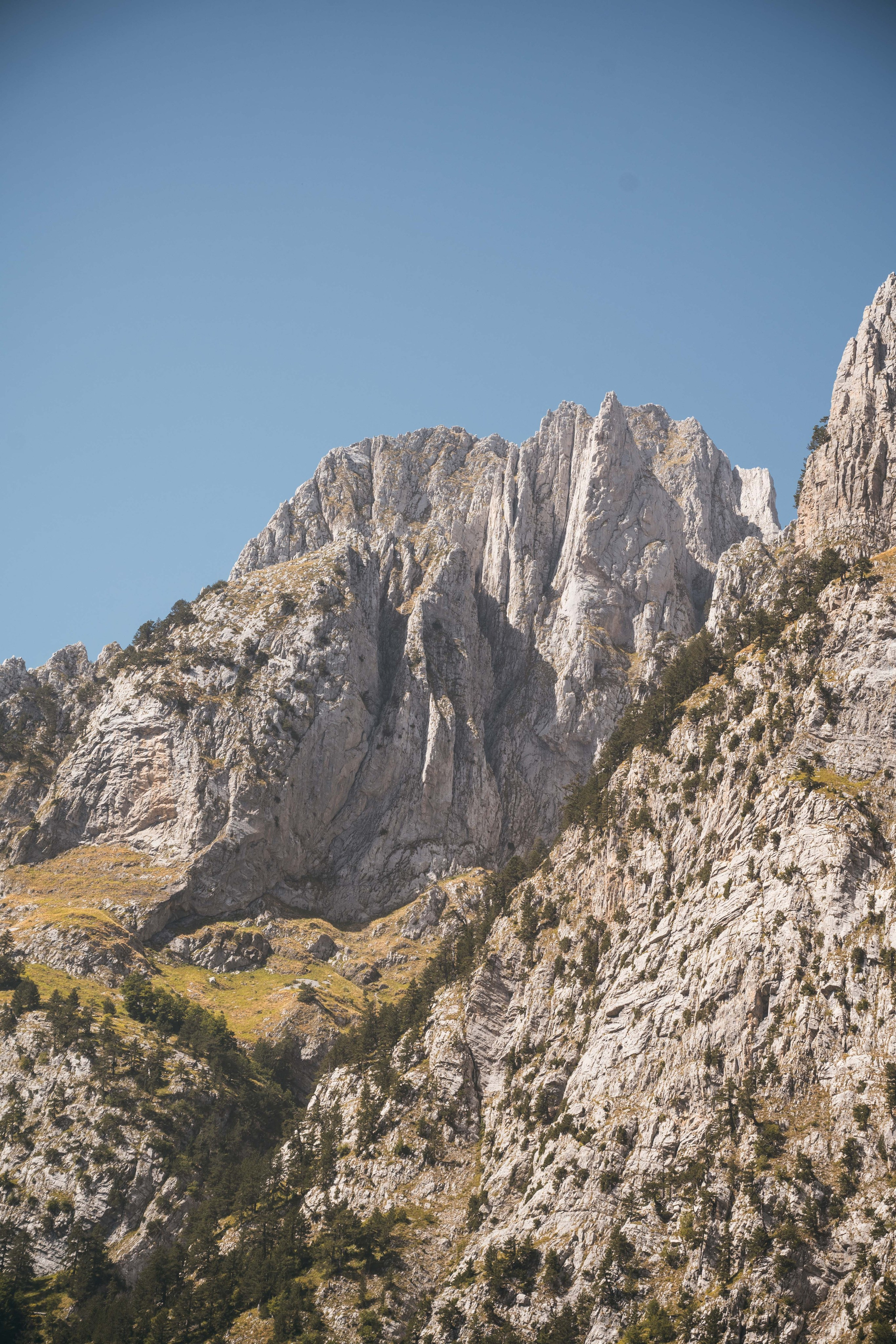 ДОЛИНА РАПОЯНА. ЧЕРНОГОРИЯ. Фотограф в Белграде Чугреева Елена