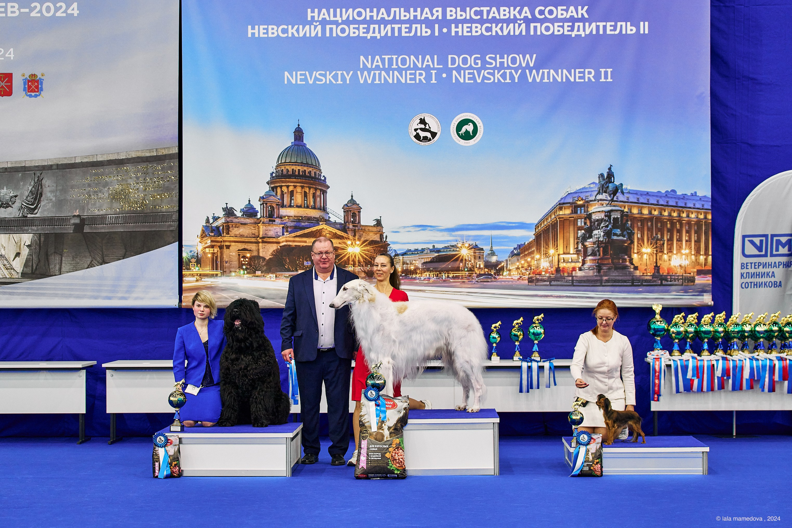 РЕЙТИНГОВАЯ ВЫСТАВКА СОБАК ВСЕХ ПОРОД С ОСОБЫМ СТАТУСОМ"НЕВСКИЙ ПОБЕДИТЕЛЬ-2024-1"