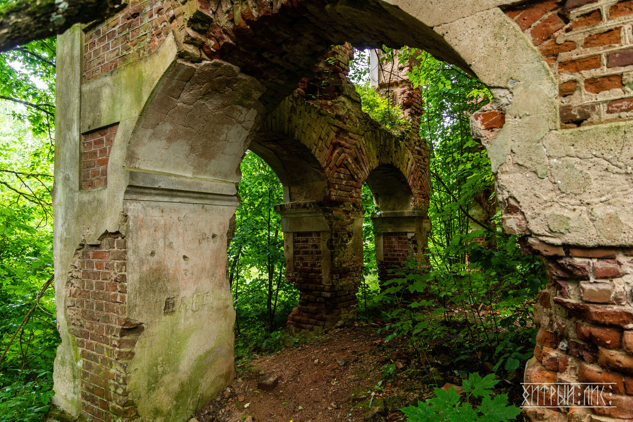 Беларусь. Фотограф-путешественник Самойлов Максим «Sly Fox»