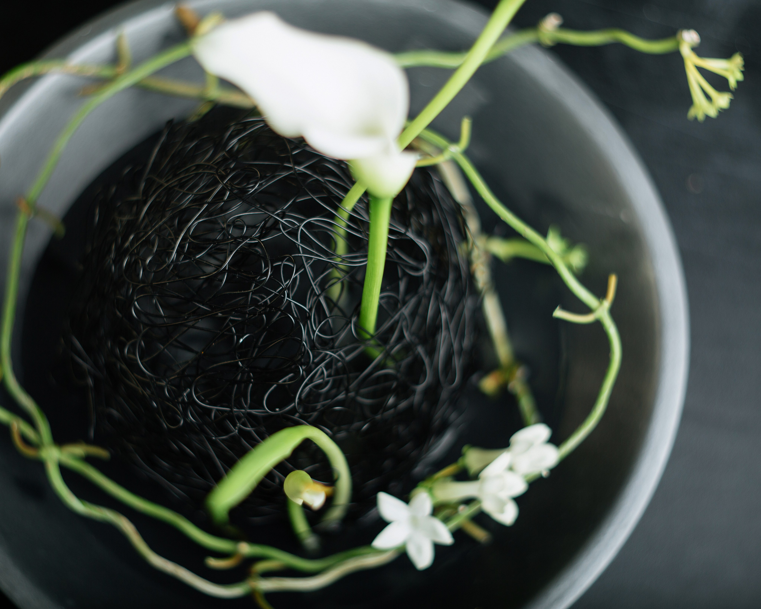 Denis. Lena Sorokina photographer, Astana, Kazakhstan