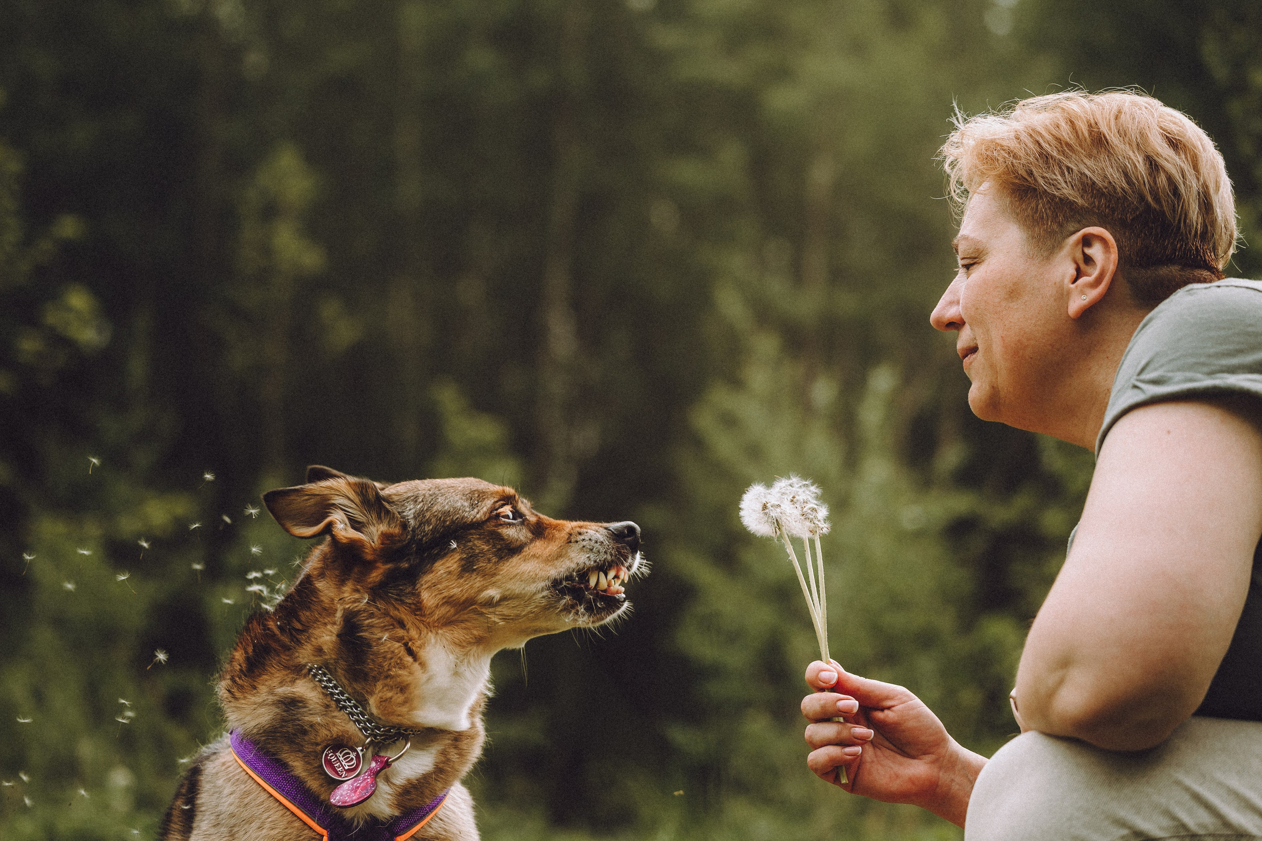 Груша, Данни, Фунтик и их семья