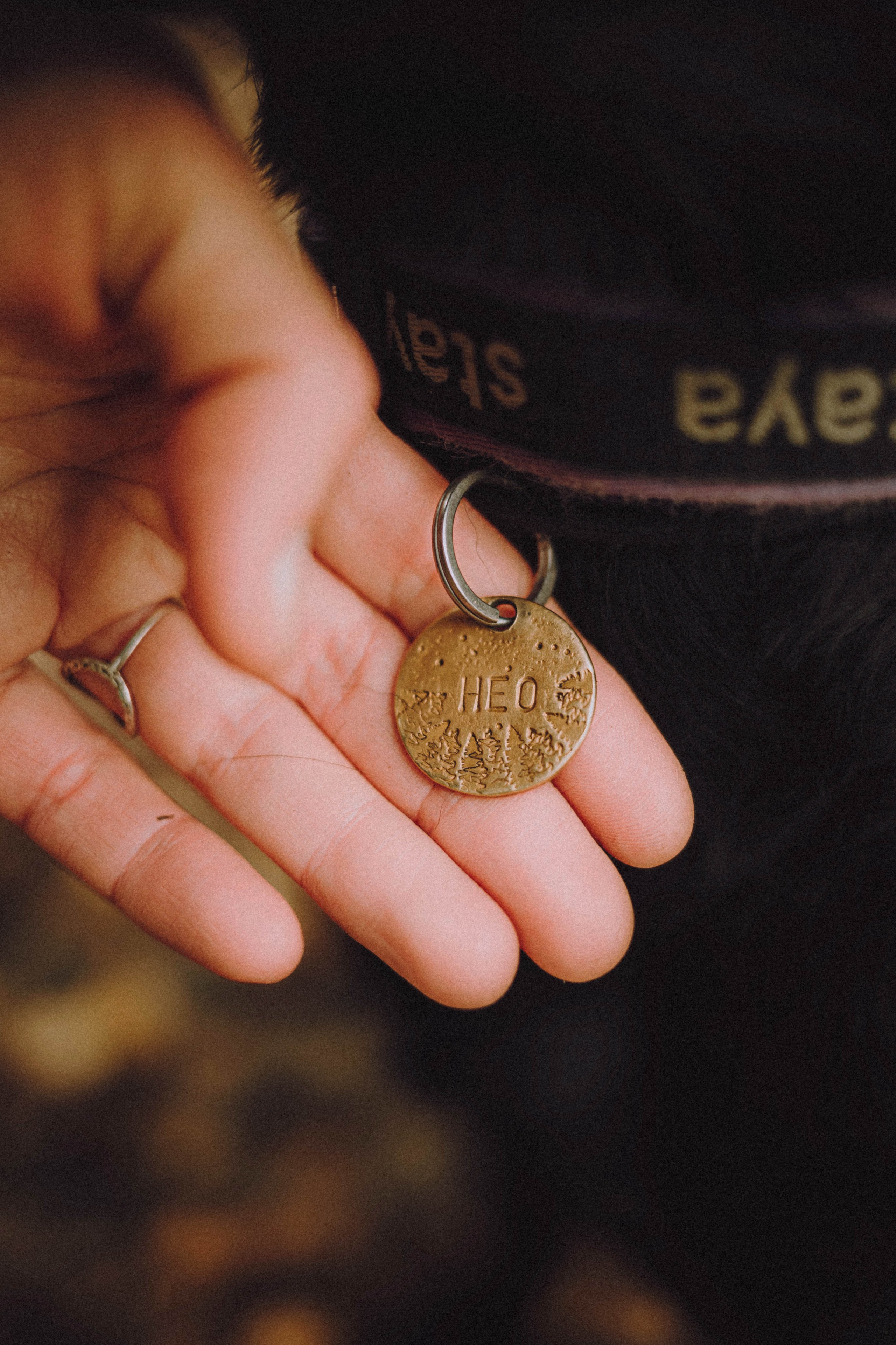 Аня, Нео и Луна