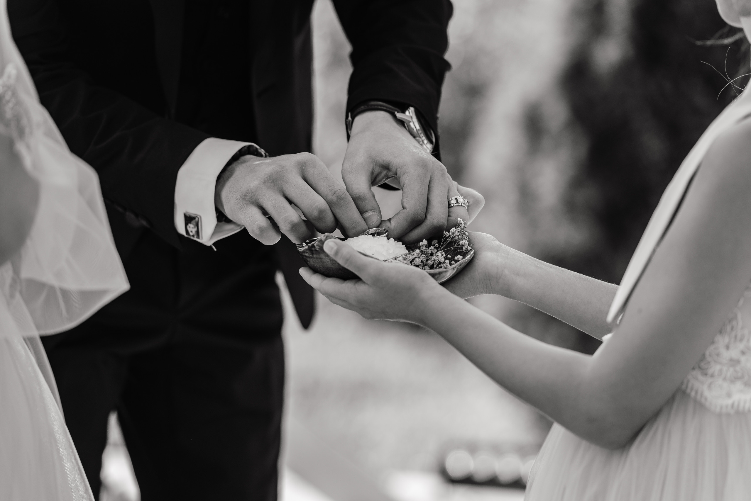 Вася счастлив. Home