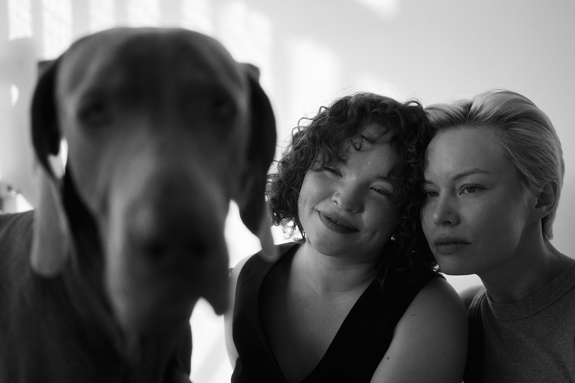 Сестры. Фотограф анималист Москва Дарья