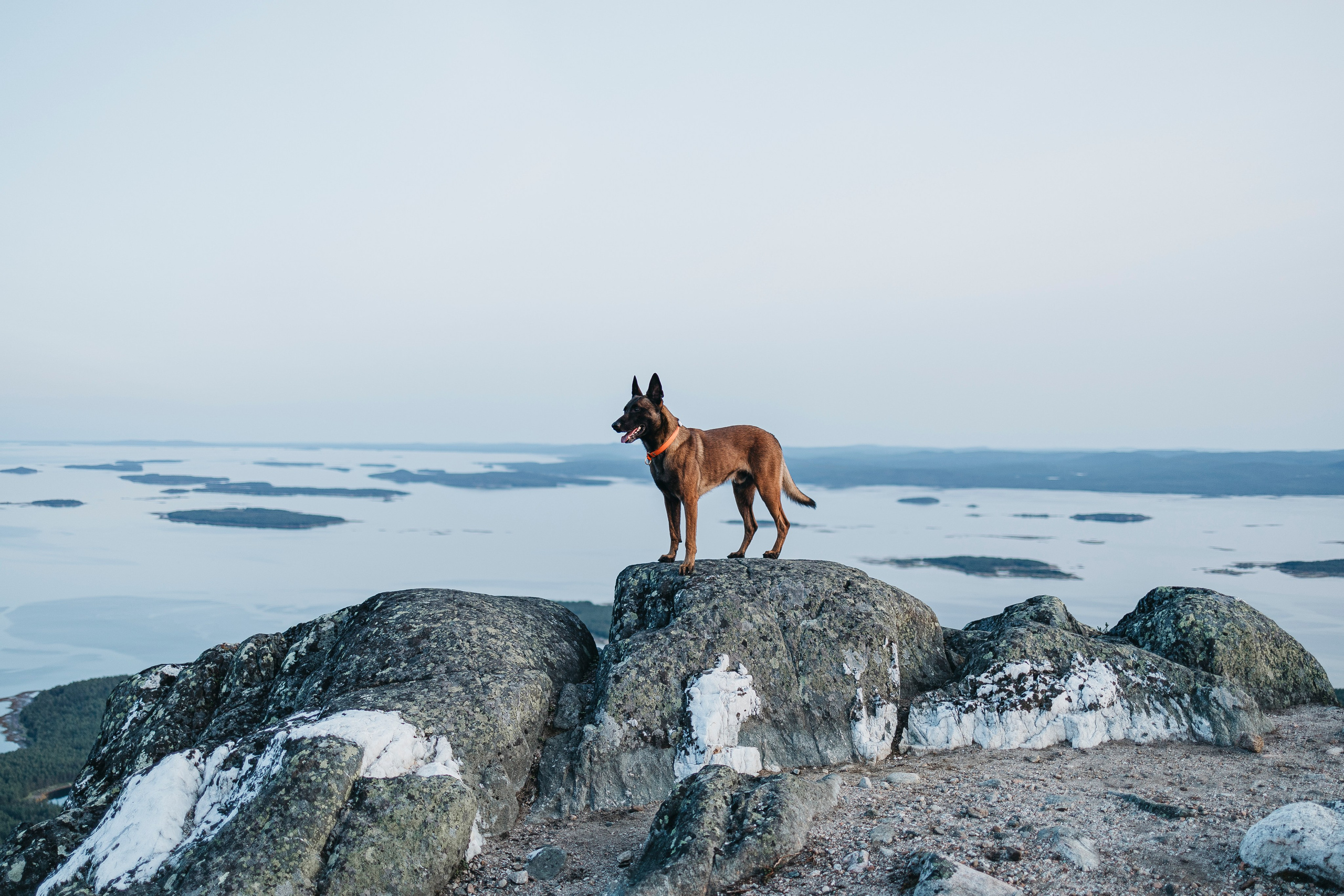 Горы. Фотограф-анималист Анна Маринич