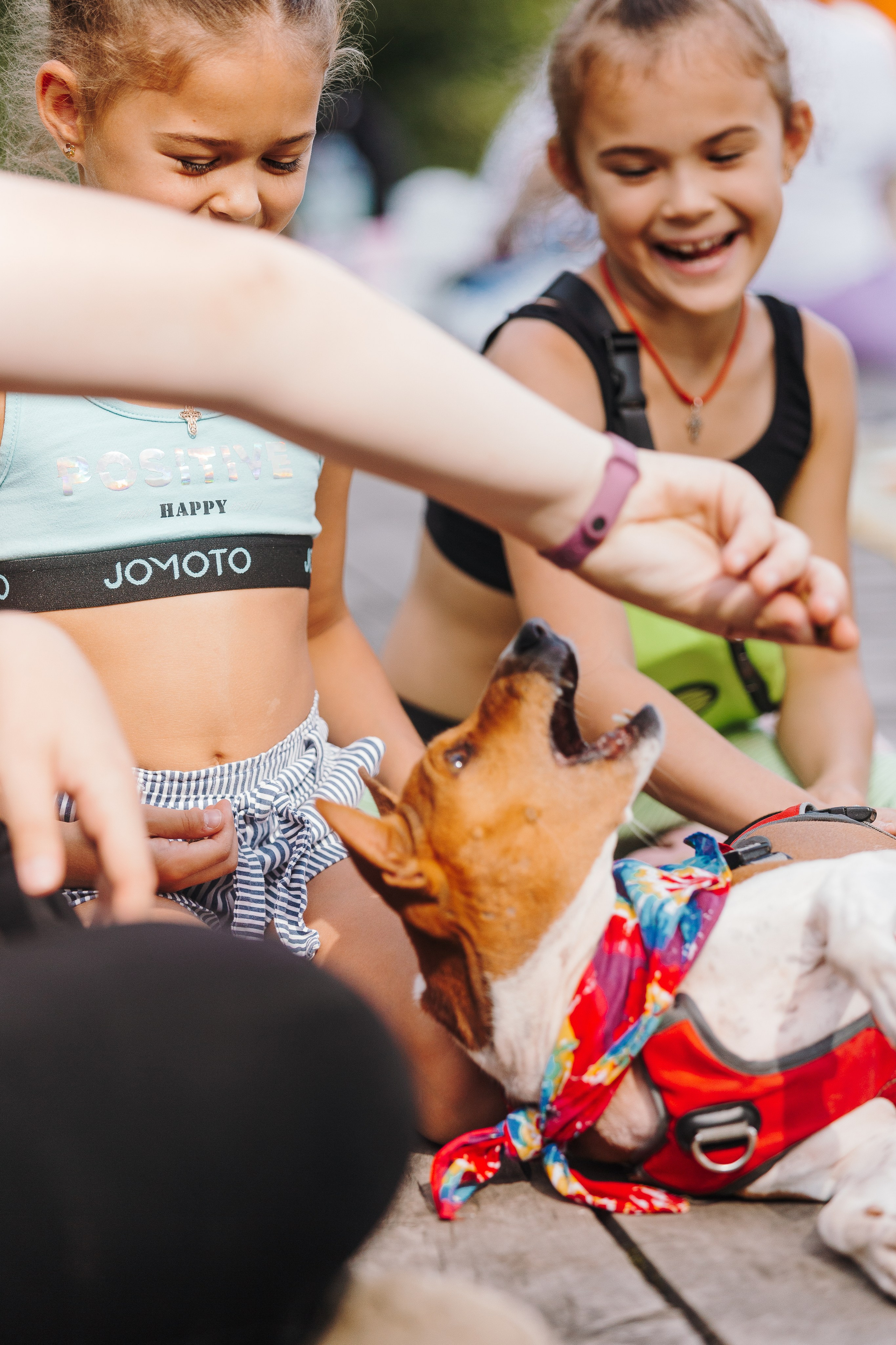 Petshop Sup day. Фотограф анималист Кристина Карпова, Москва