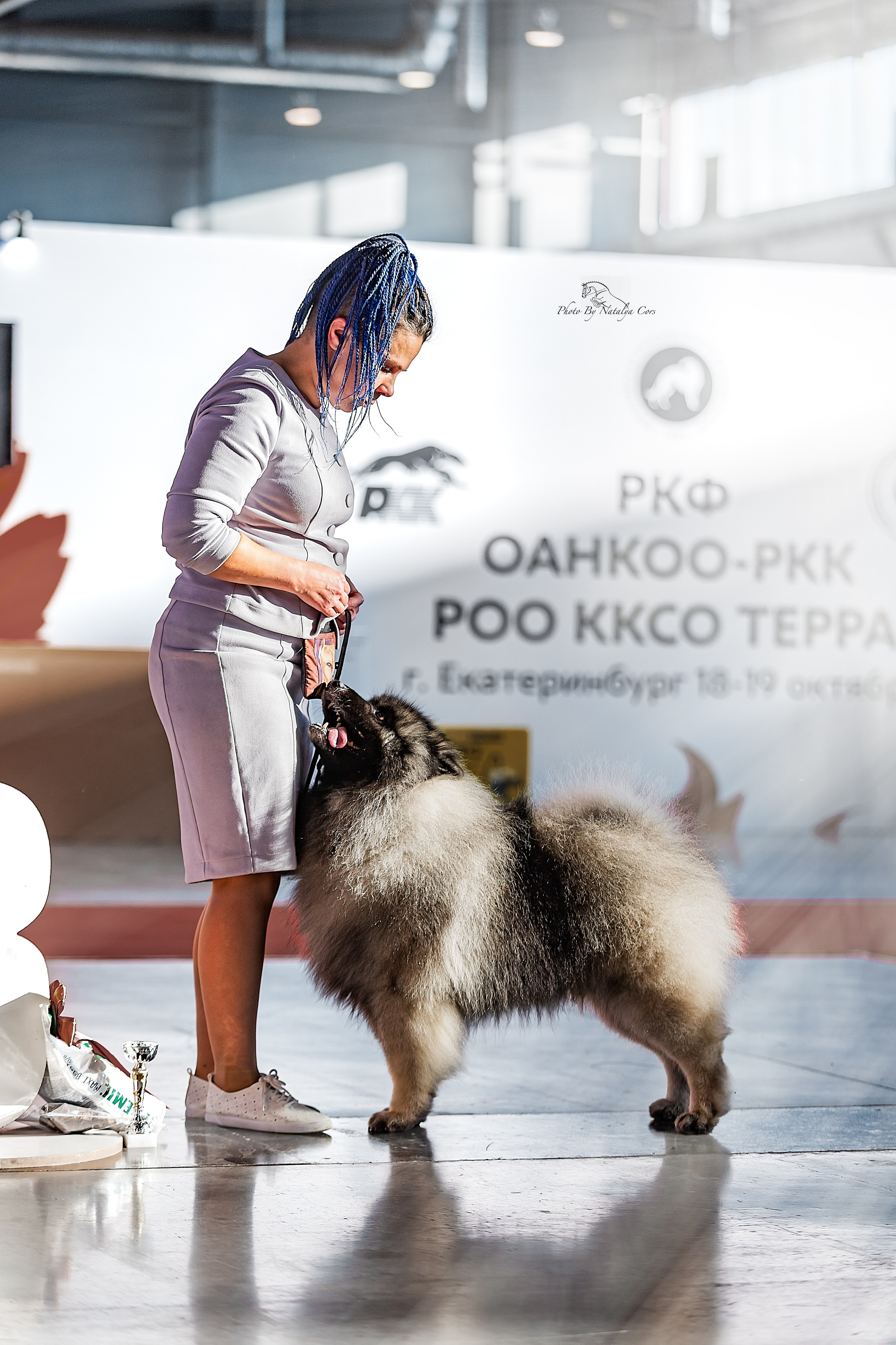 Фоторепортаж с выставки собак. Фотограф Анималист Наталья Корс Екатеринбург