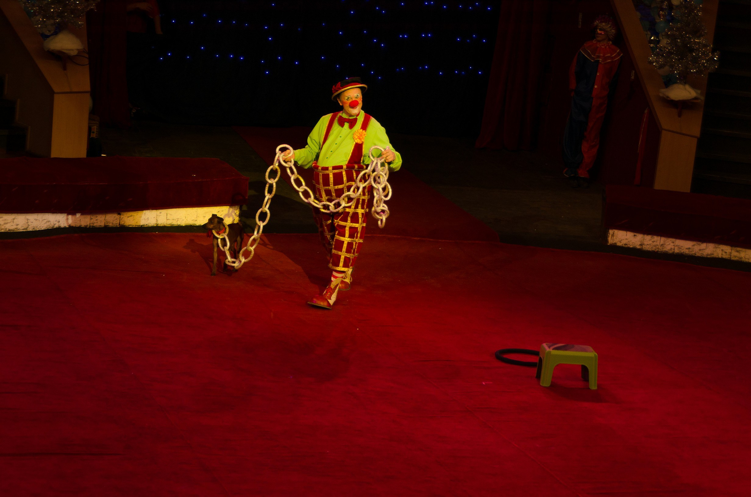 Цирк. Фотограф в РФ и ЛНР Юлия Федосеева