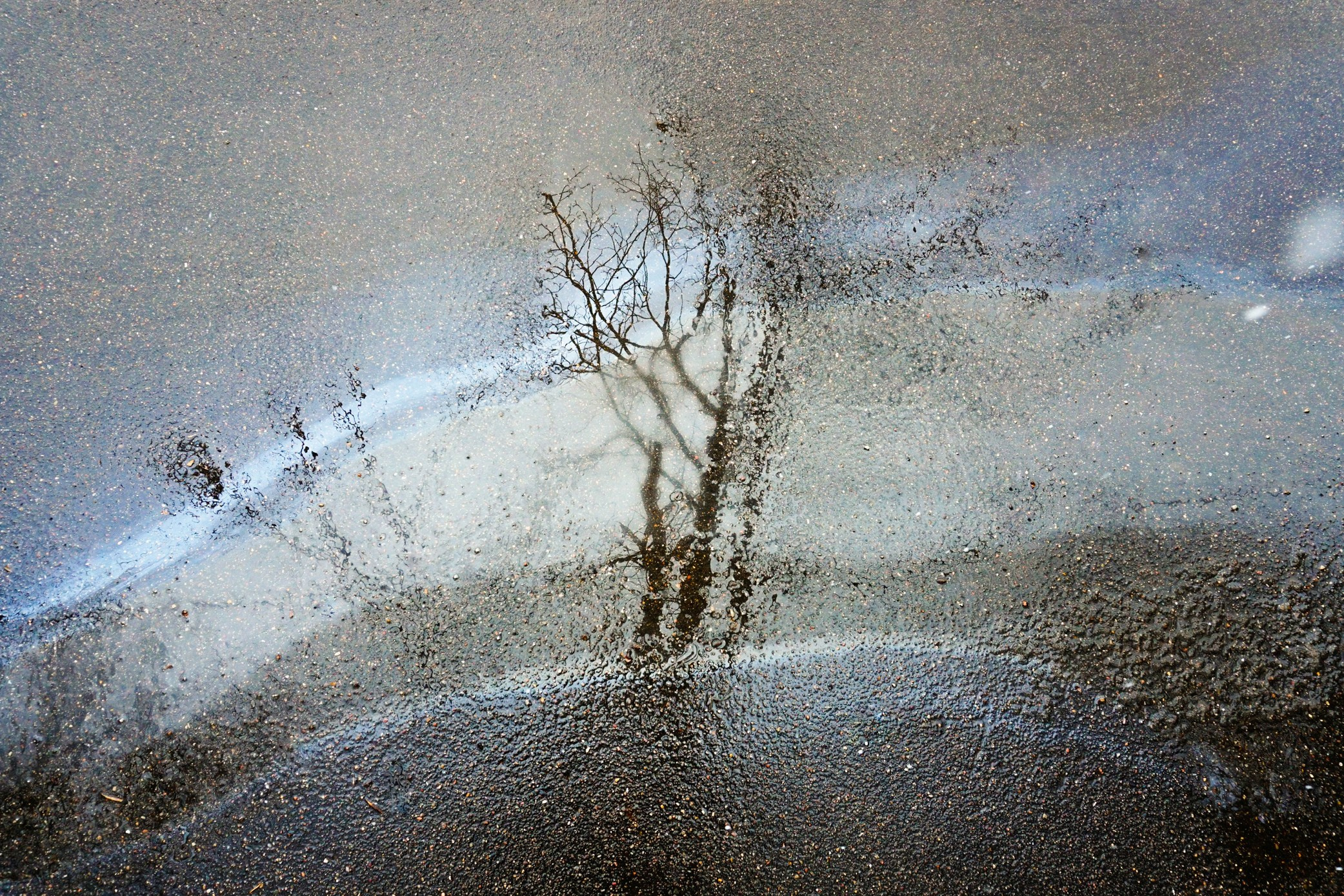 Симуляторы (Каталог № 3). Главная