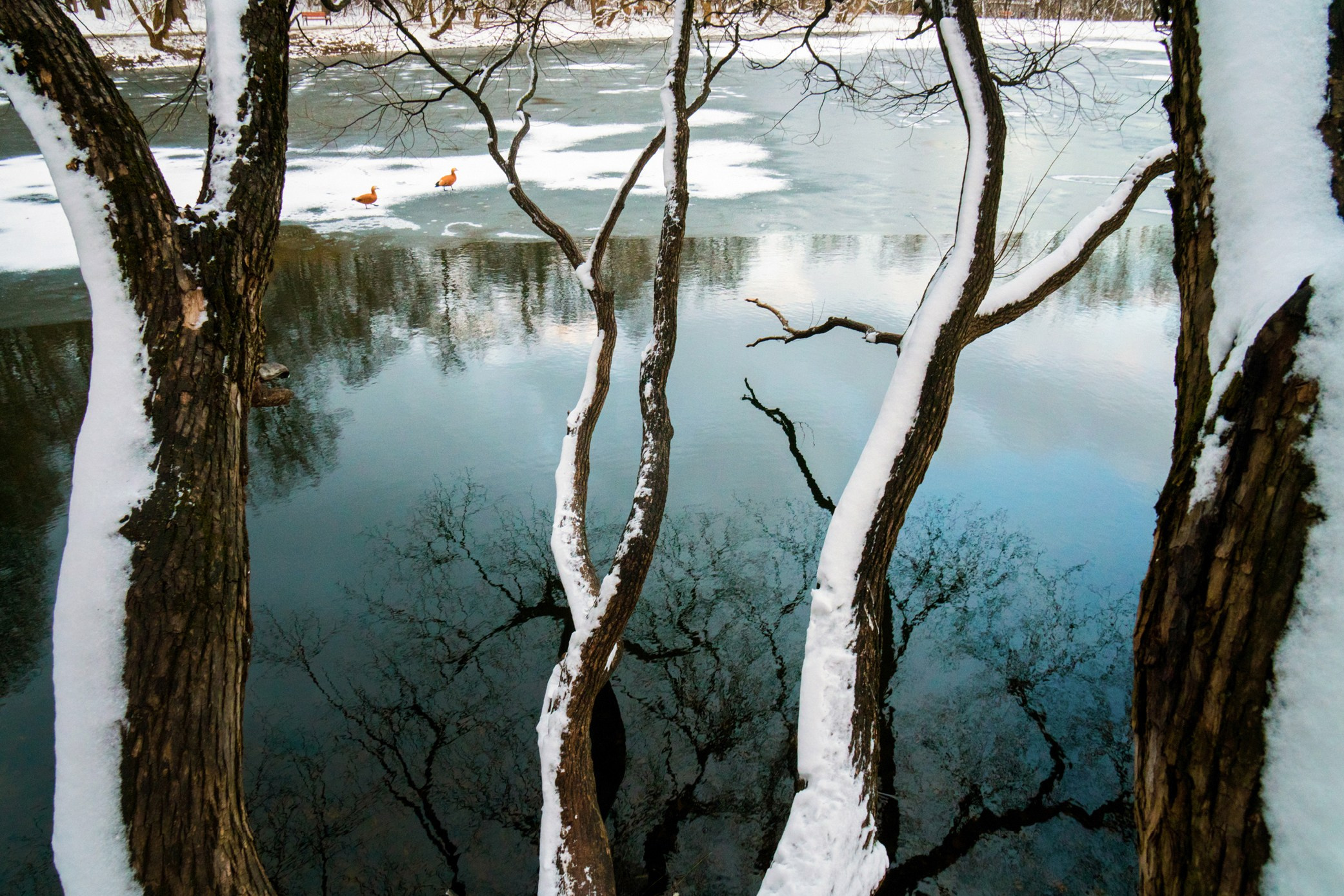 Симуляторы (Каталог № 3). Главная