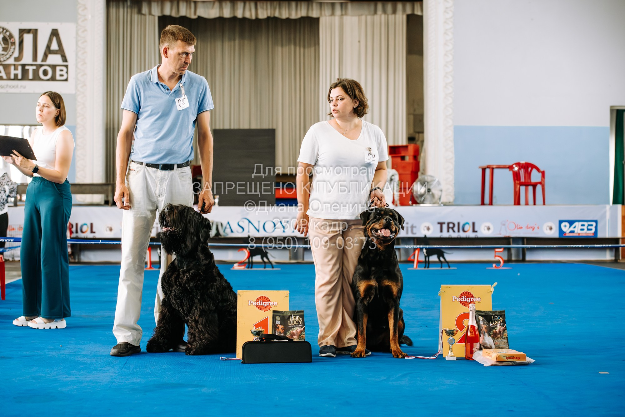 Национальная выставка собак всех пород ранга САС-IKU «Кубок Красноярск. Фотограф Диана Оленина Красноярск / Братск