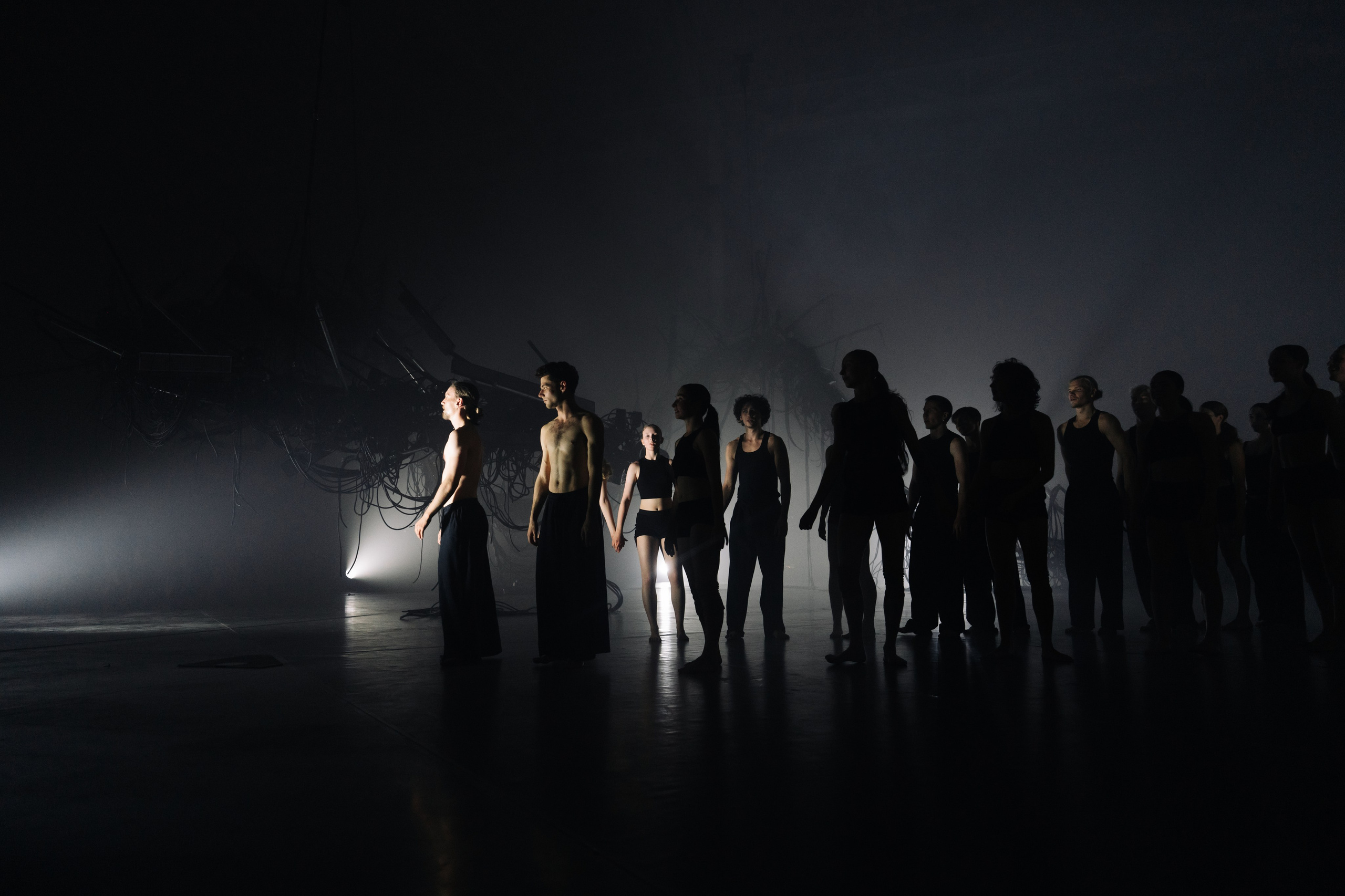 PERFORMA, The Hour of the Horse. @tomrus: Рустам Шагиморданов — фотограф