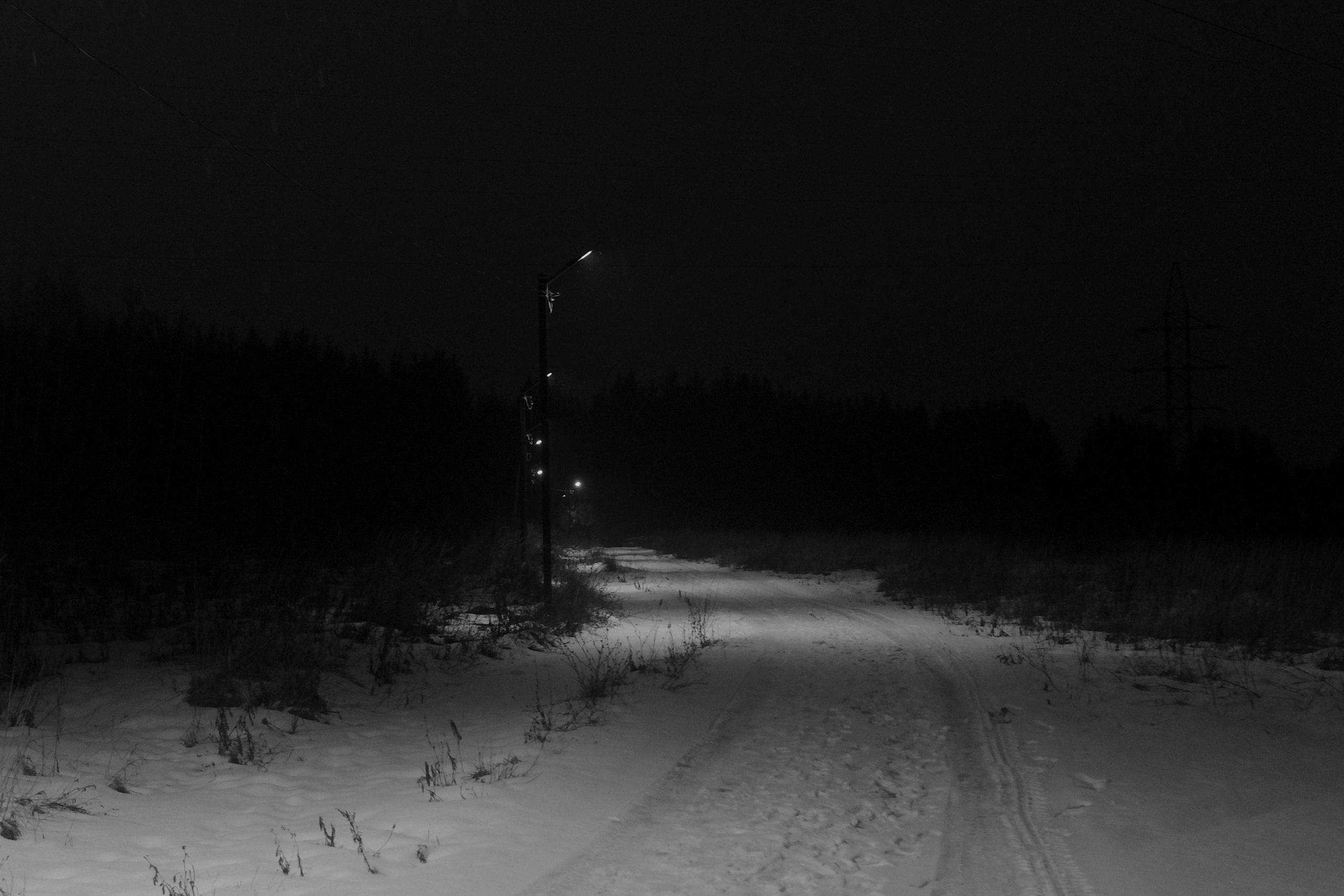 — 2025. Фотограф Злата Спицына