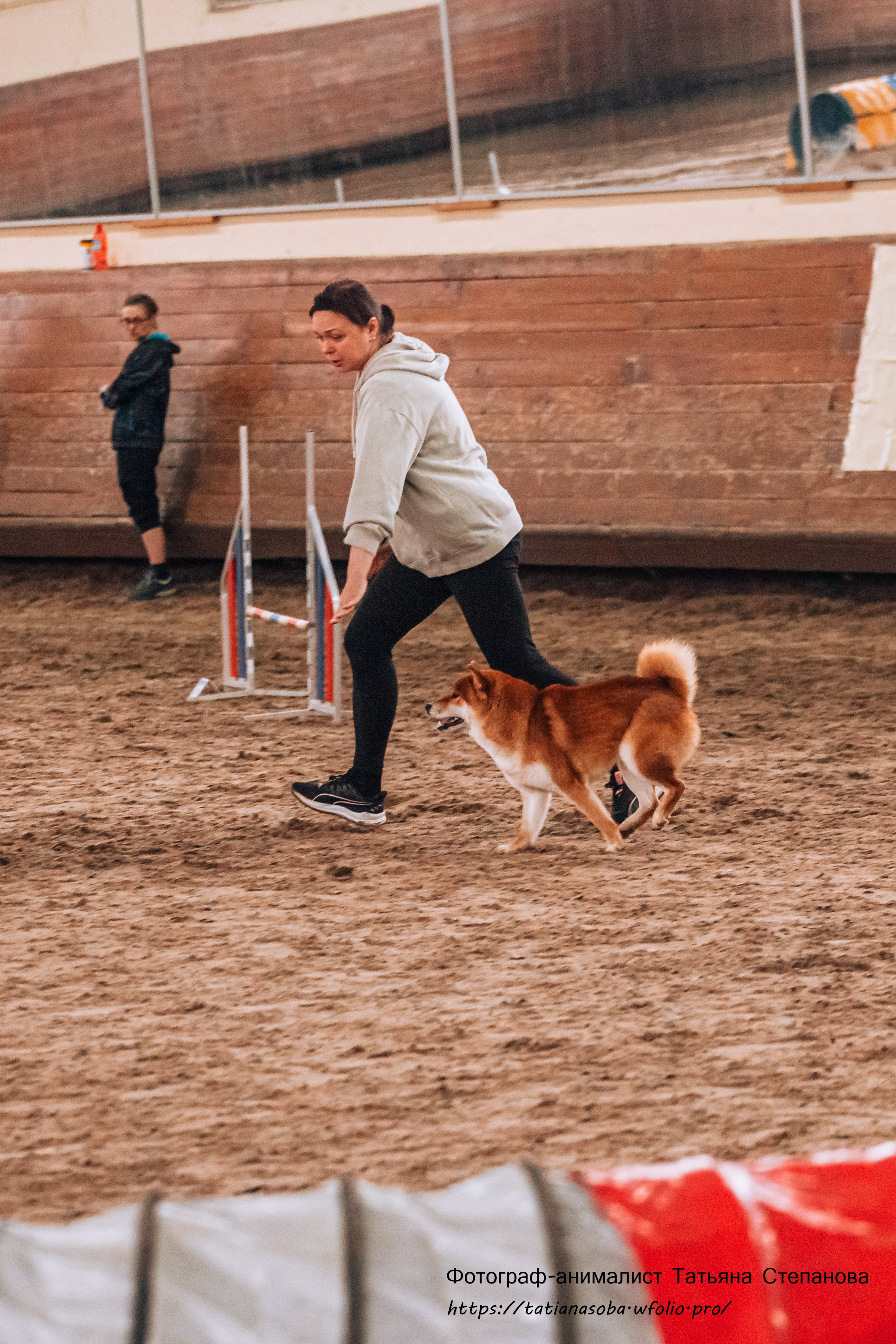 Соревнования по Аджилити 25.02.2024. Фотограф-анималист Татьяна Степанова
