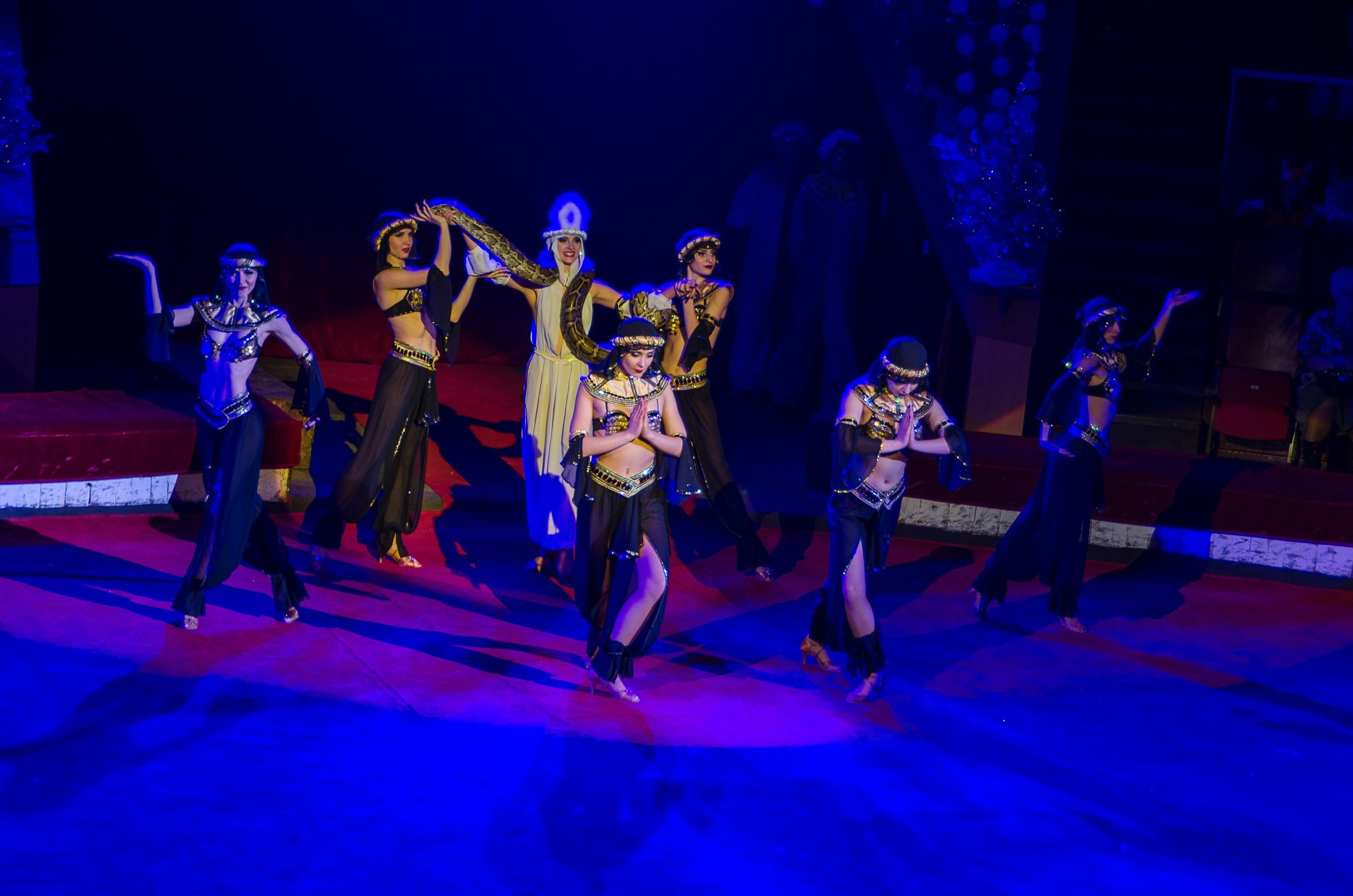 Цирк. Фотограф в РФ и ЛНР Юлия Федосеева