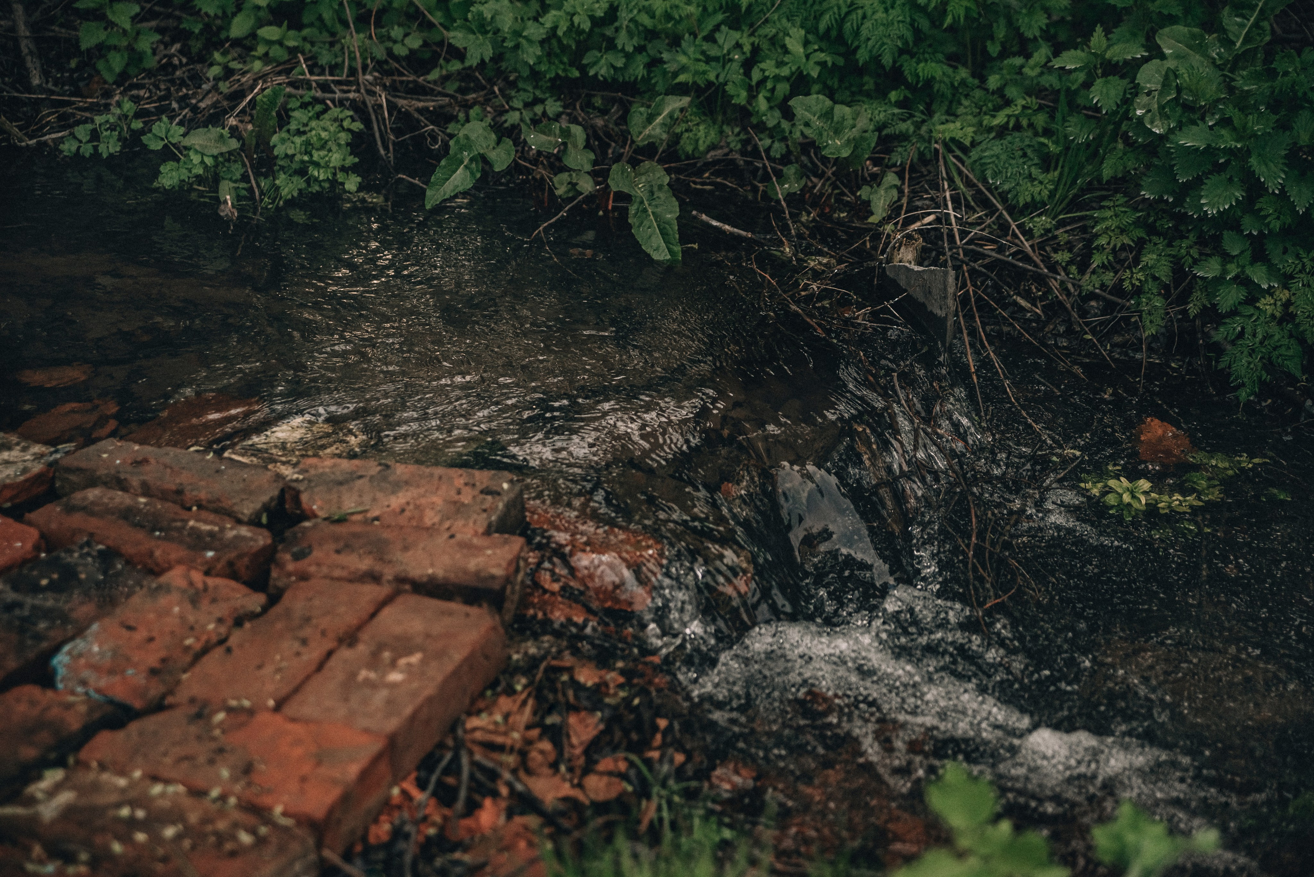 XIV Автопробег 2024 «Ветеранам глубинки — заботу и внимание» (маршрут № 3). Фотограф в Самаре Елена Фомина