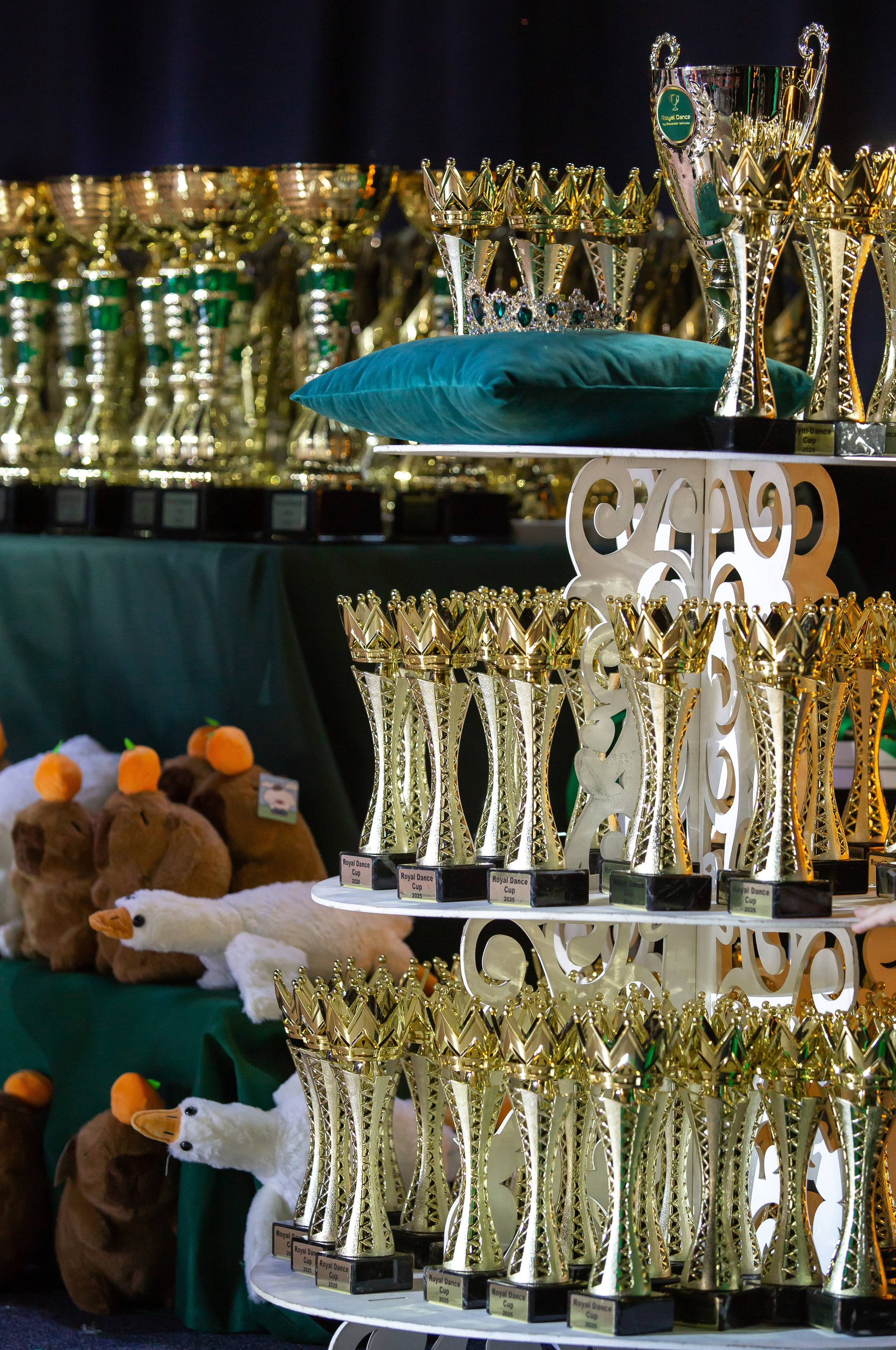 Турнир ROYAL DANCE CUP. Репортажный фотограф в Москве