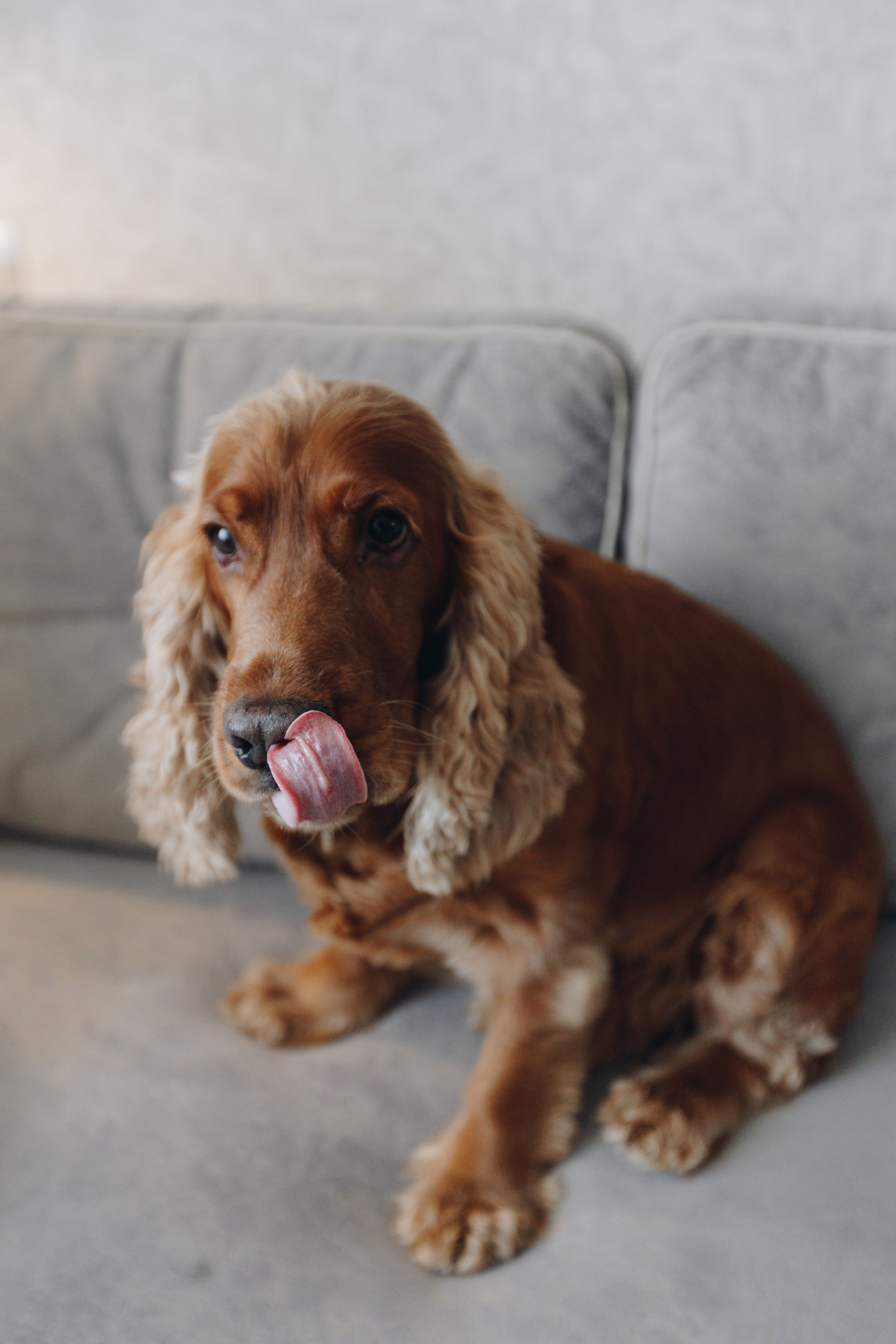 В+И. Свадебный семейный фотограф и видеограф Гомель Минск Беларусь Европа