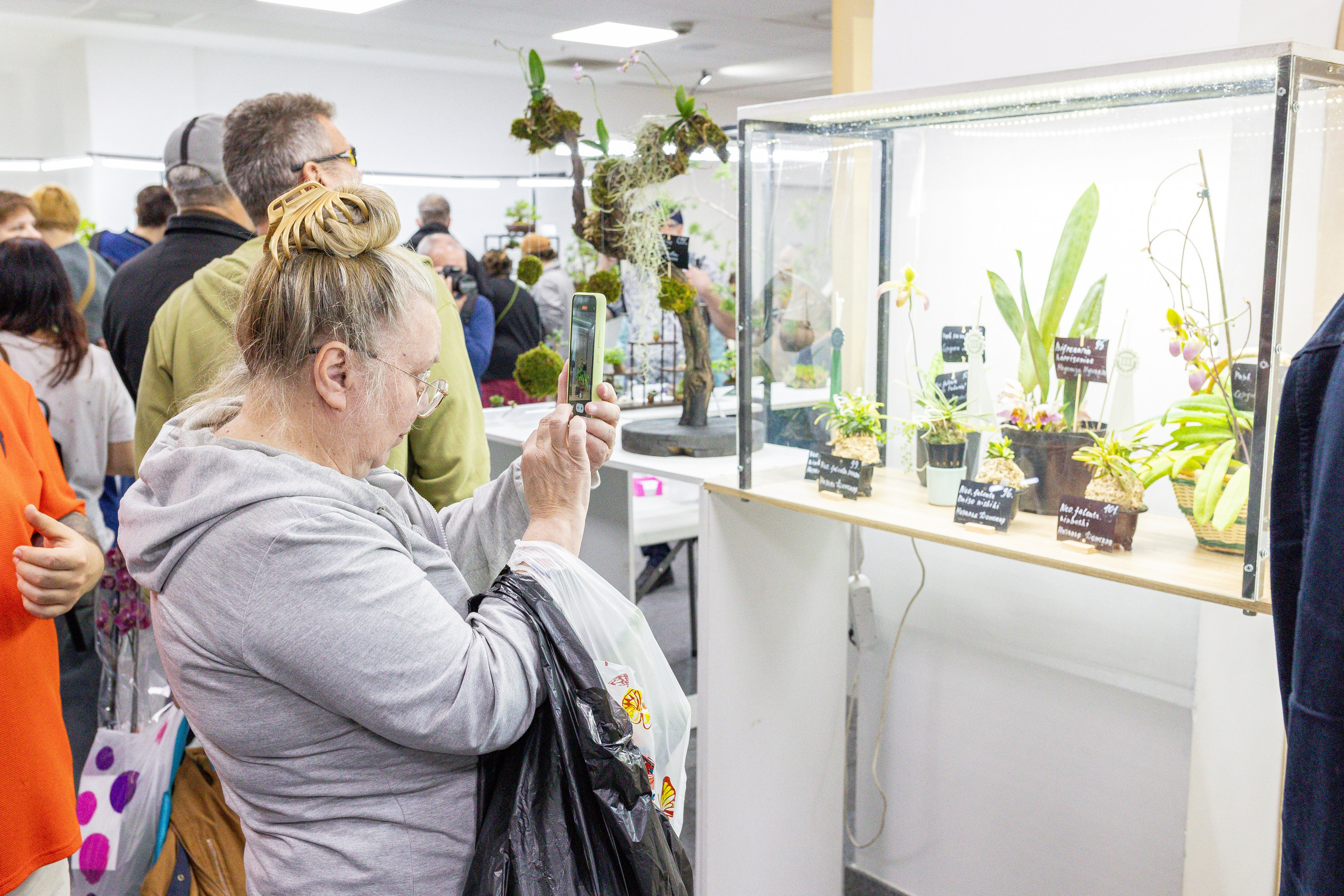 Орхидиум май 2025. Александра Куликова фотограф, Москва