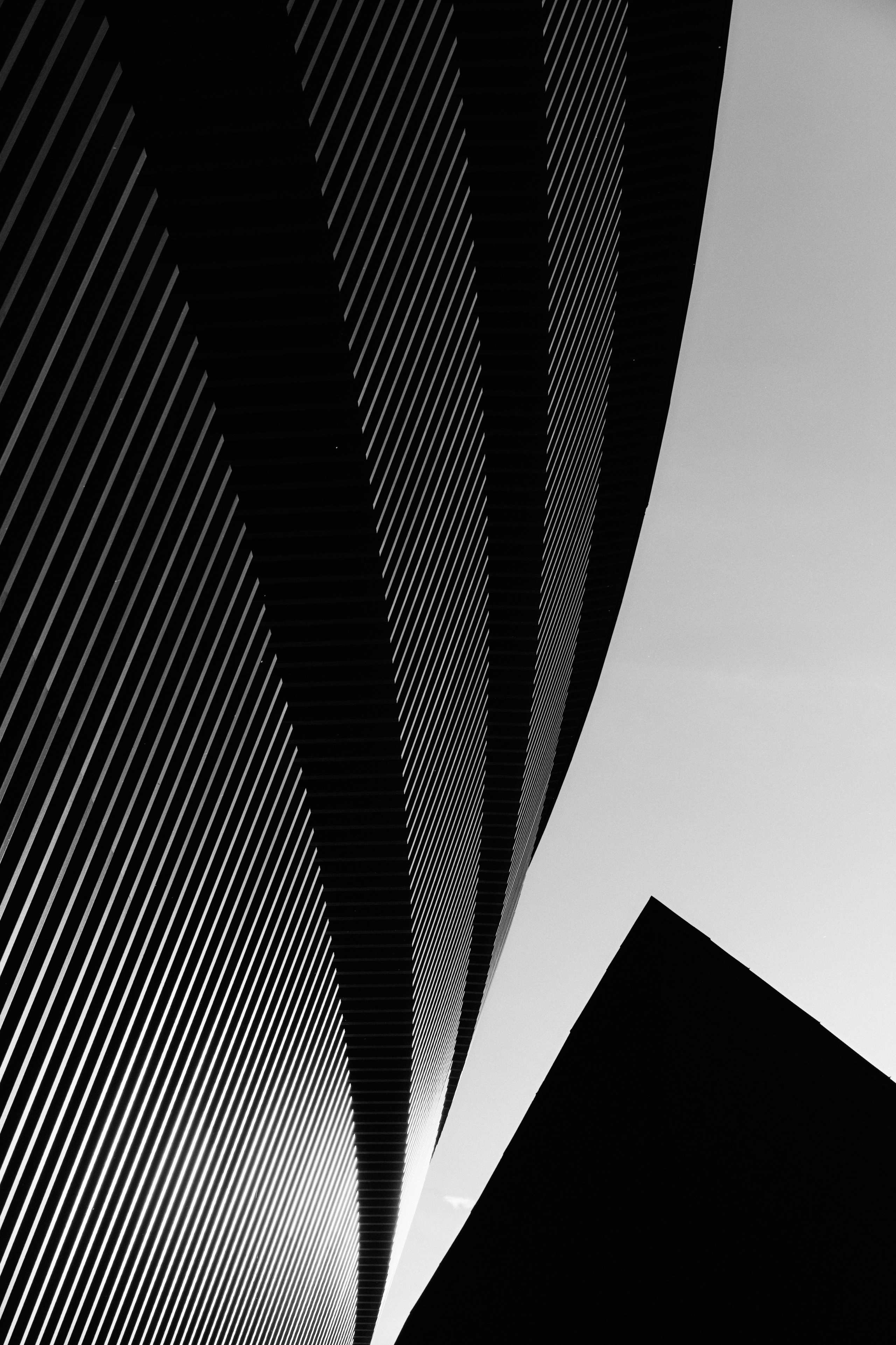 BAON x ALTAY. Фотограф Сурков Никита