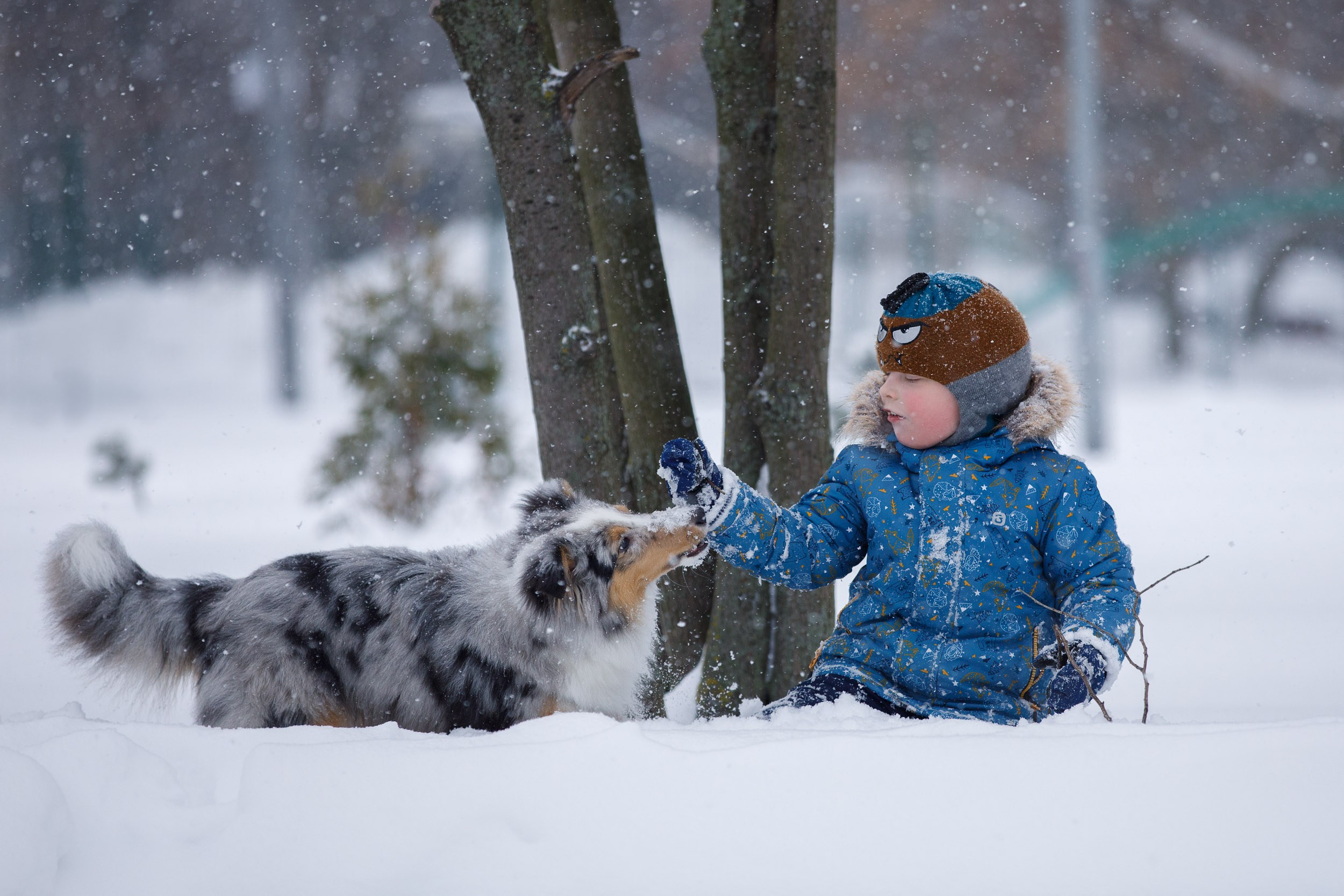 Съёмка ребенка и щенка. Фотограф-анималист в Москве и Московской области Татьяна Фролова