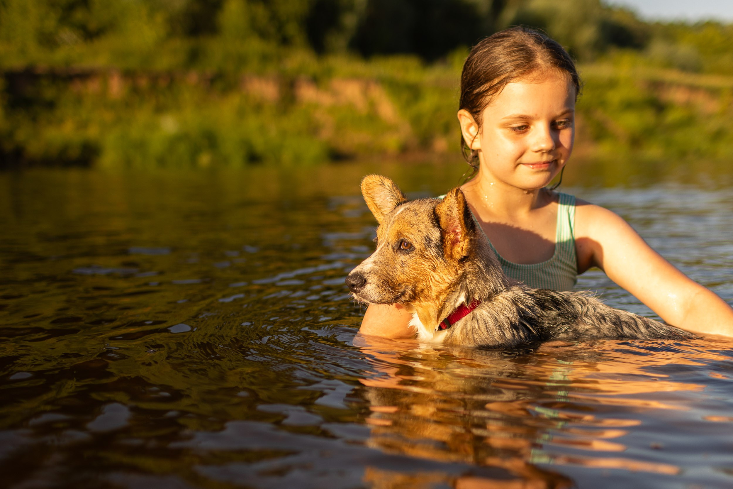 Купание щенков в стиле лайфстайл. Фотограф-анималист в Москве и Московской области Татьяна Фролова