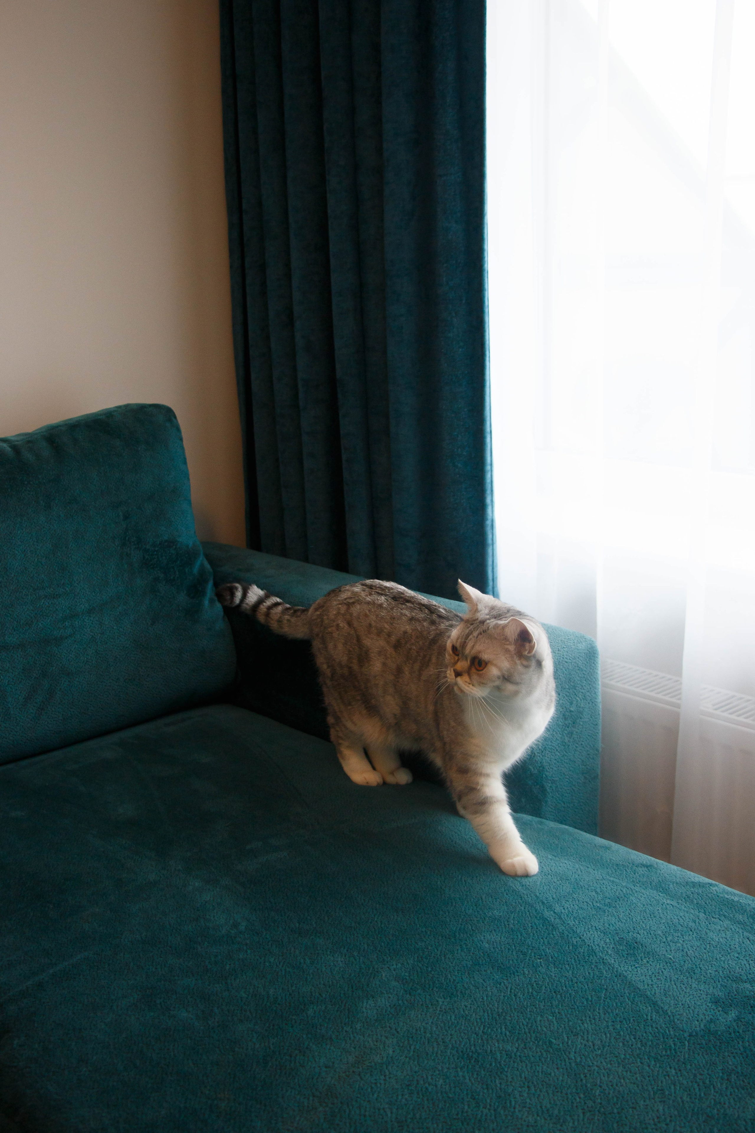 TANYA&NALLA. Бережно сохраняю ваши чувства и истории на своих фотографиях