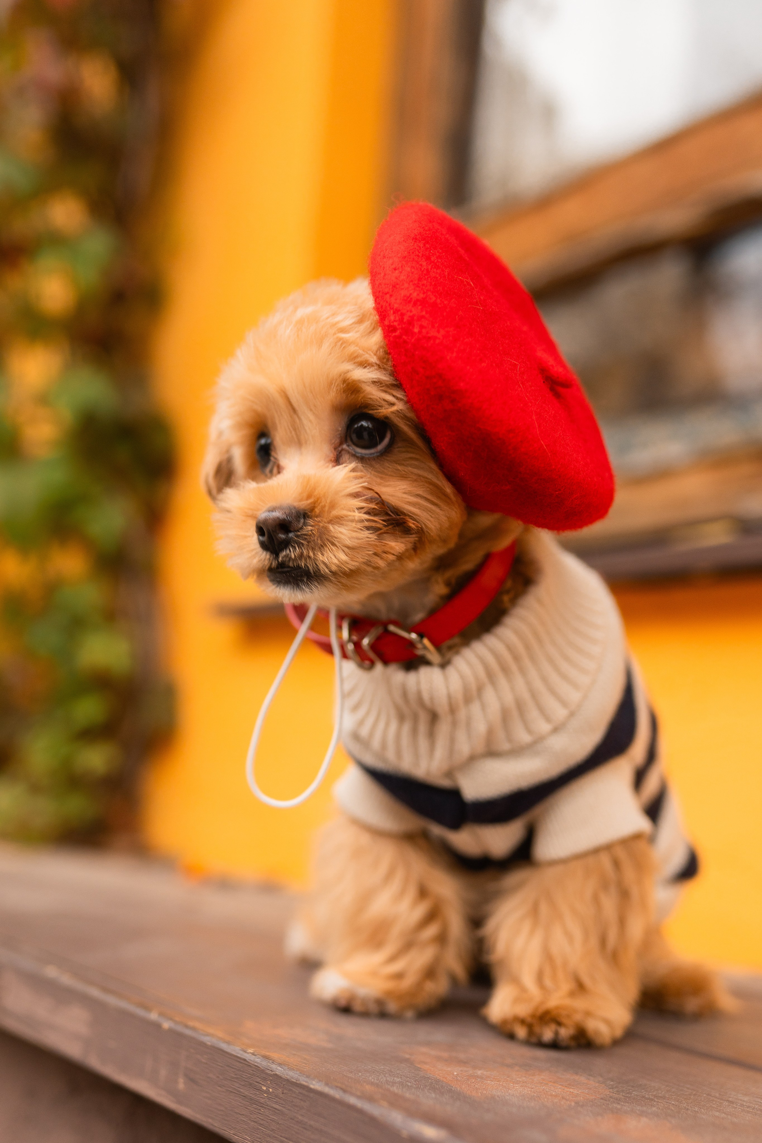 Индивидуальная прогулка на Патриках. Свадебный фотограф в Москве Анна Полушина