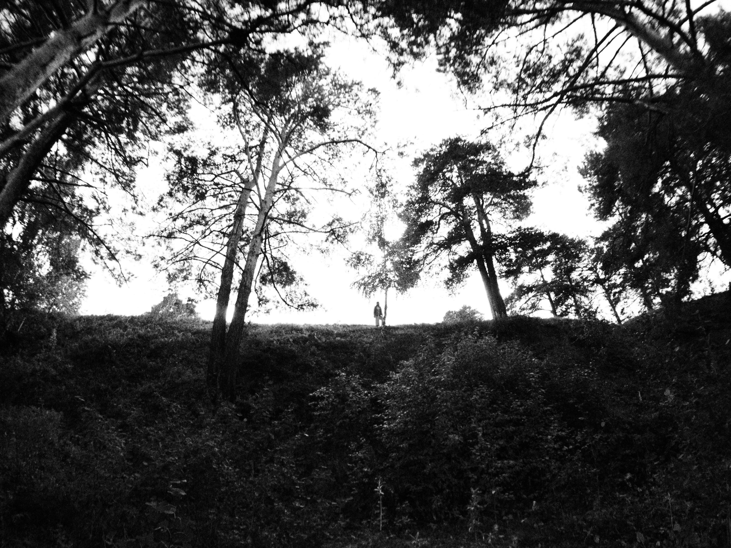 Влюбленные в жизнь