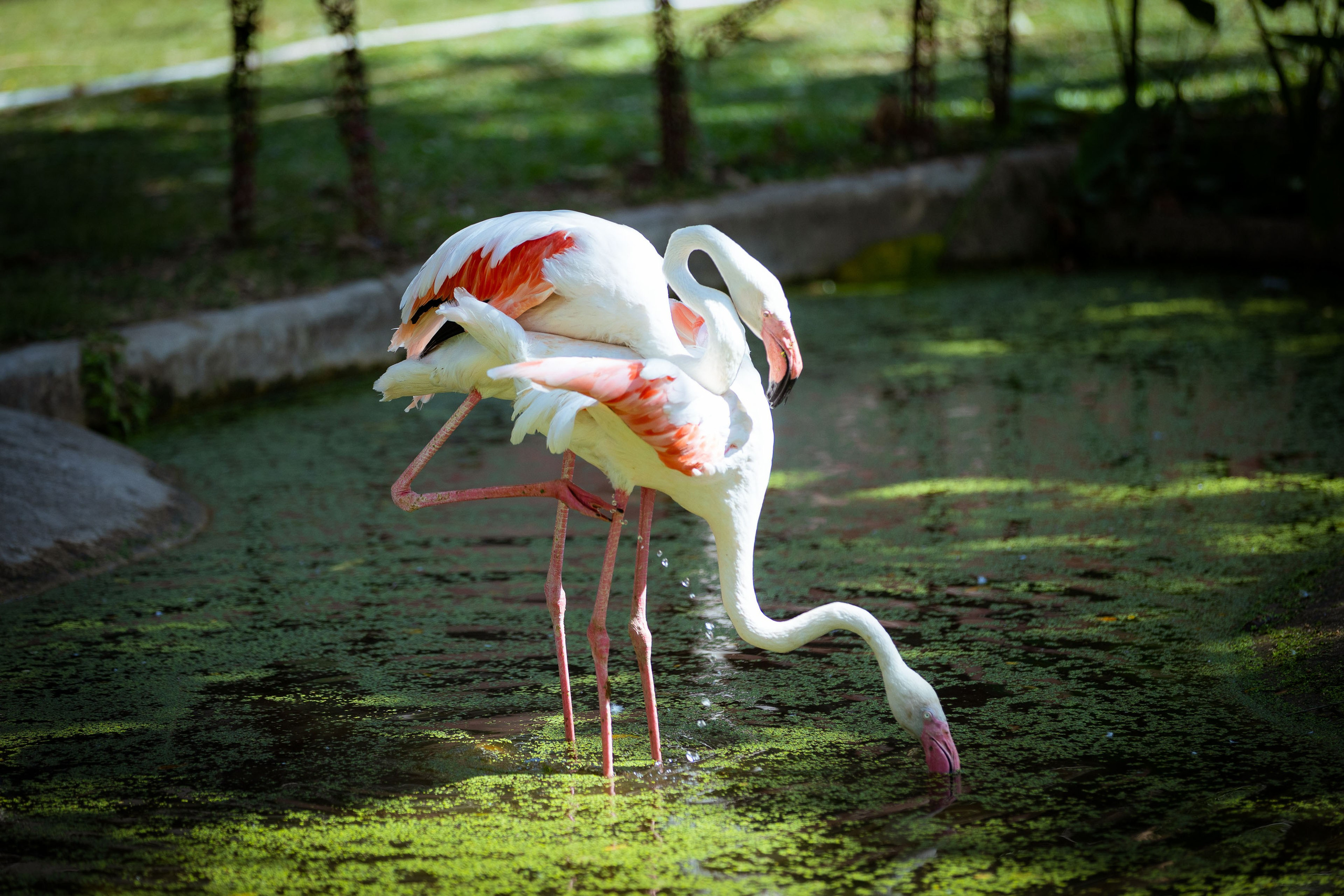 Таиланд (зима 2025). Фотограф Виноградов Константин
