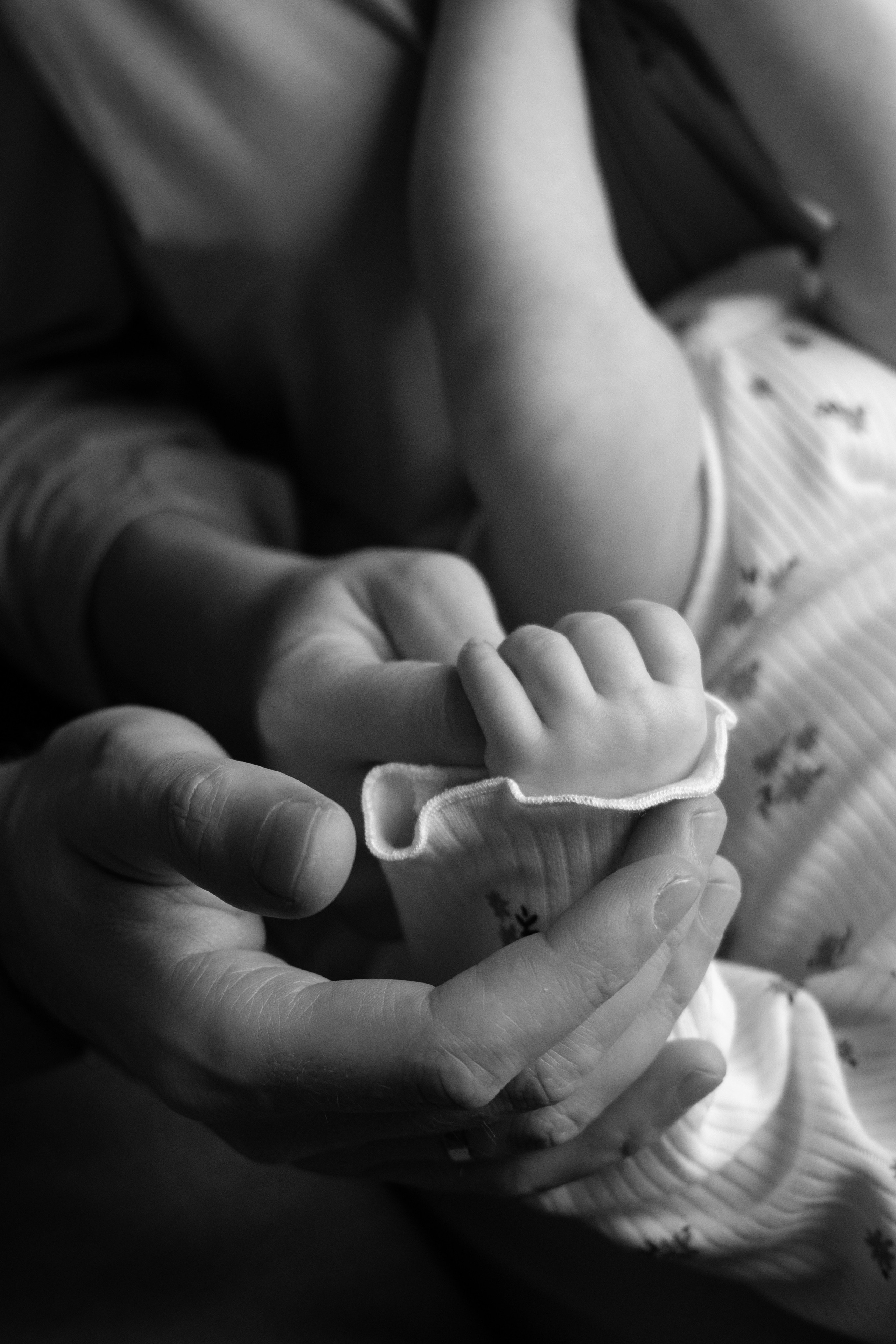 Семейная фотосессия (Ае 2 месяца). Фотограф видеограф Ольга Василевская