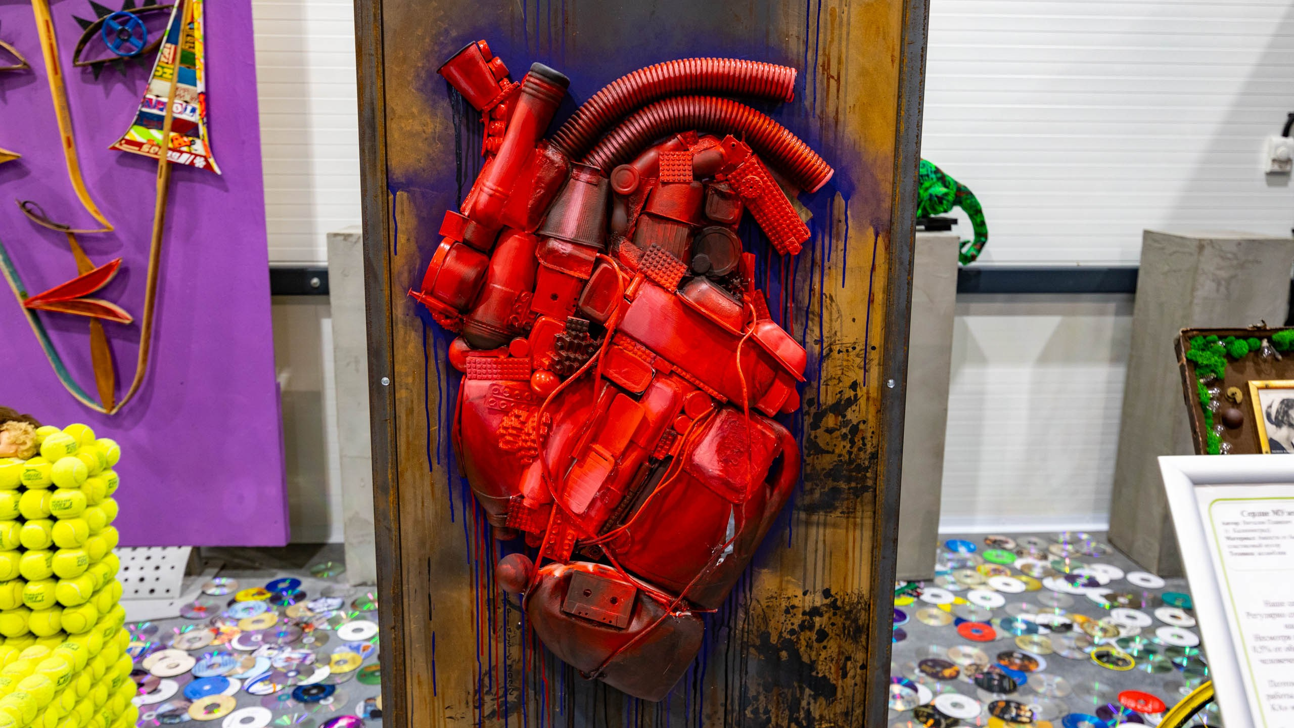 2024 01 Калининград (Светлогорск, Зеленоградск). Фотографии