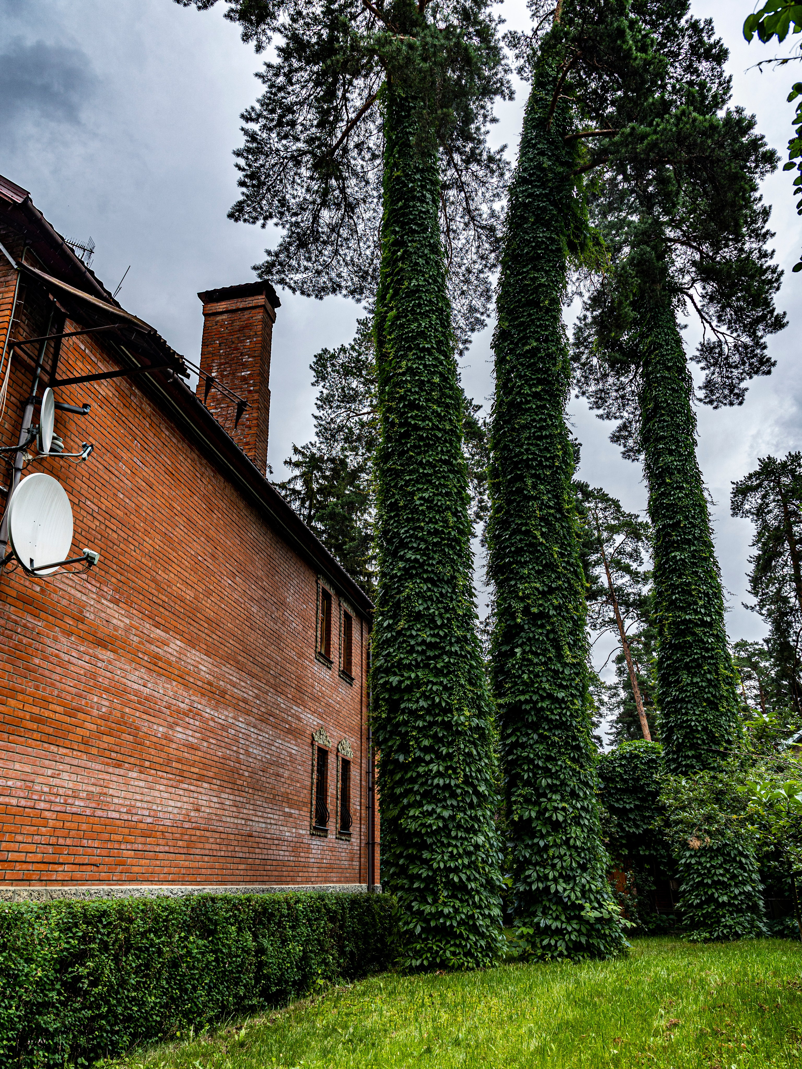 Фотограф Татьяна Марсуверских г. Жуковский, Москва и Мо. Репортажные съёмки, фотосессии. Детский, семейный фотограф. Фотограф для маркетплейсов, фотоуслуги в Жуковском Татьяна Марсуверских