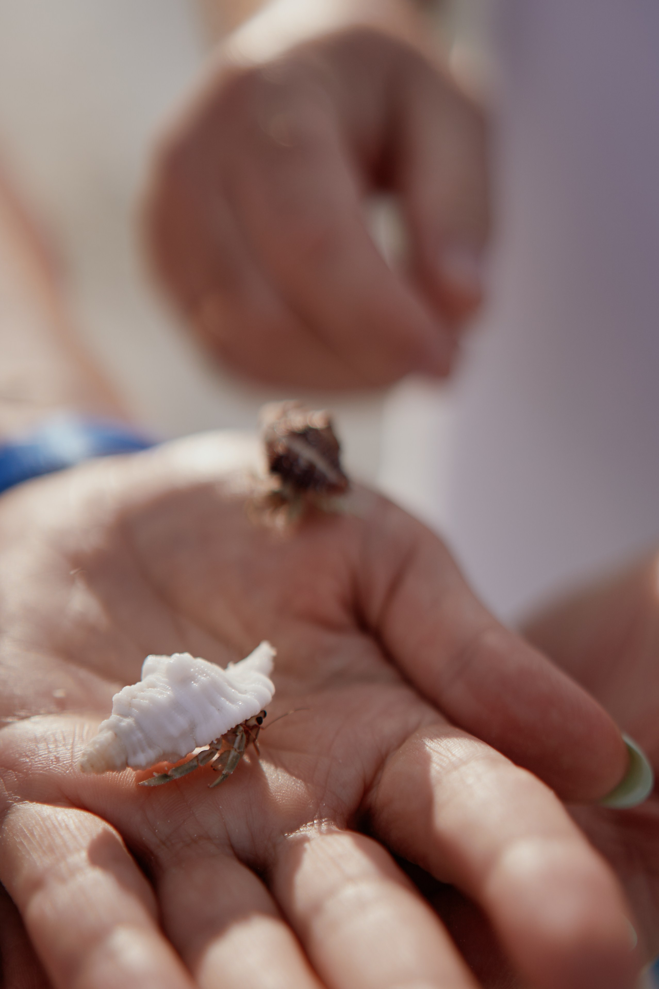 Сергей и Светлана. Свадебный и семейный фотограф в Санкт-Петербурге Дмитрий Панин
