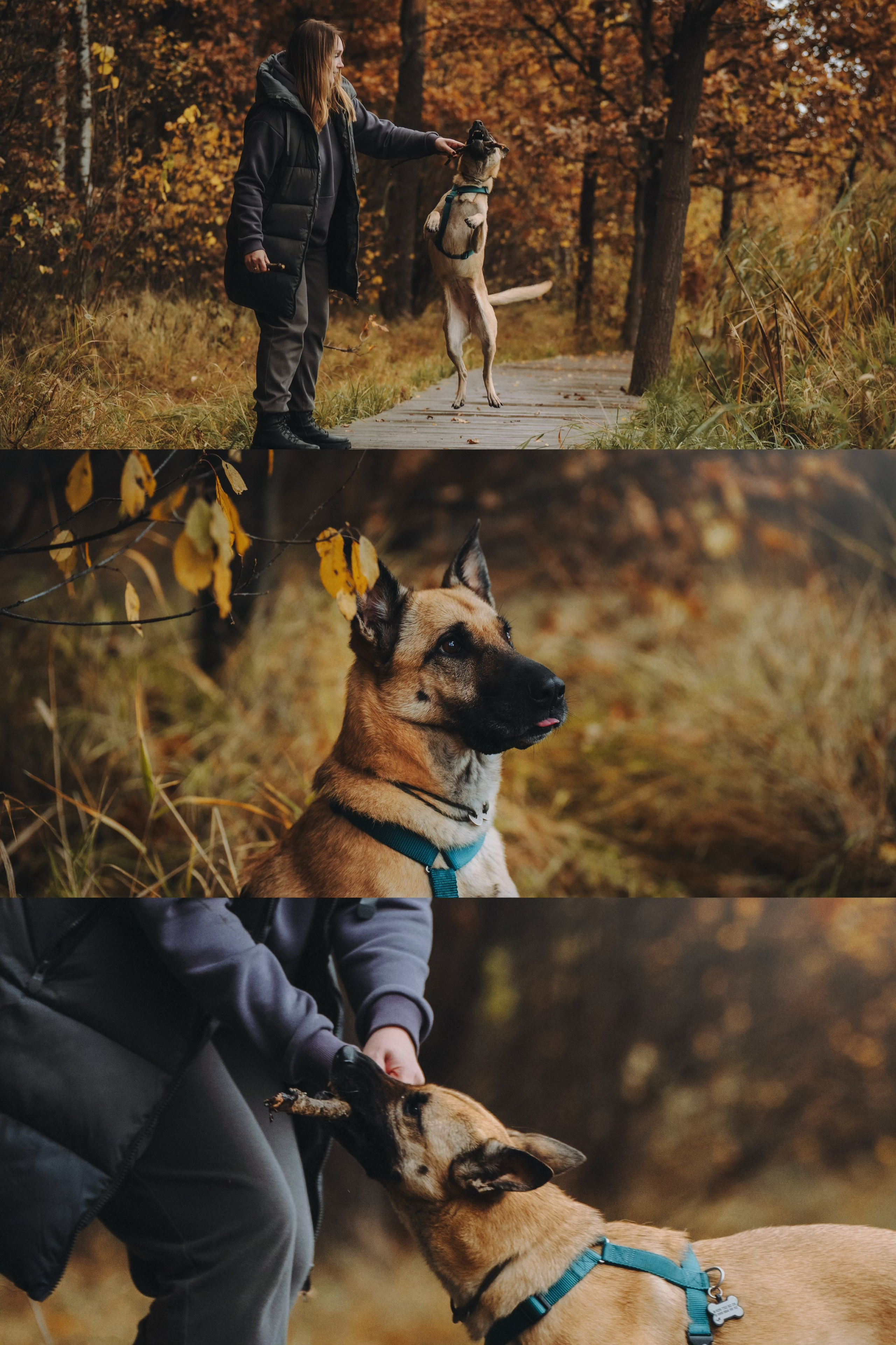 Наталия, Иван и Урса. Фотограф анималист в Москве и Санкт-Петербурге Свиридова Анна