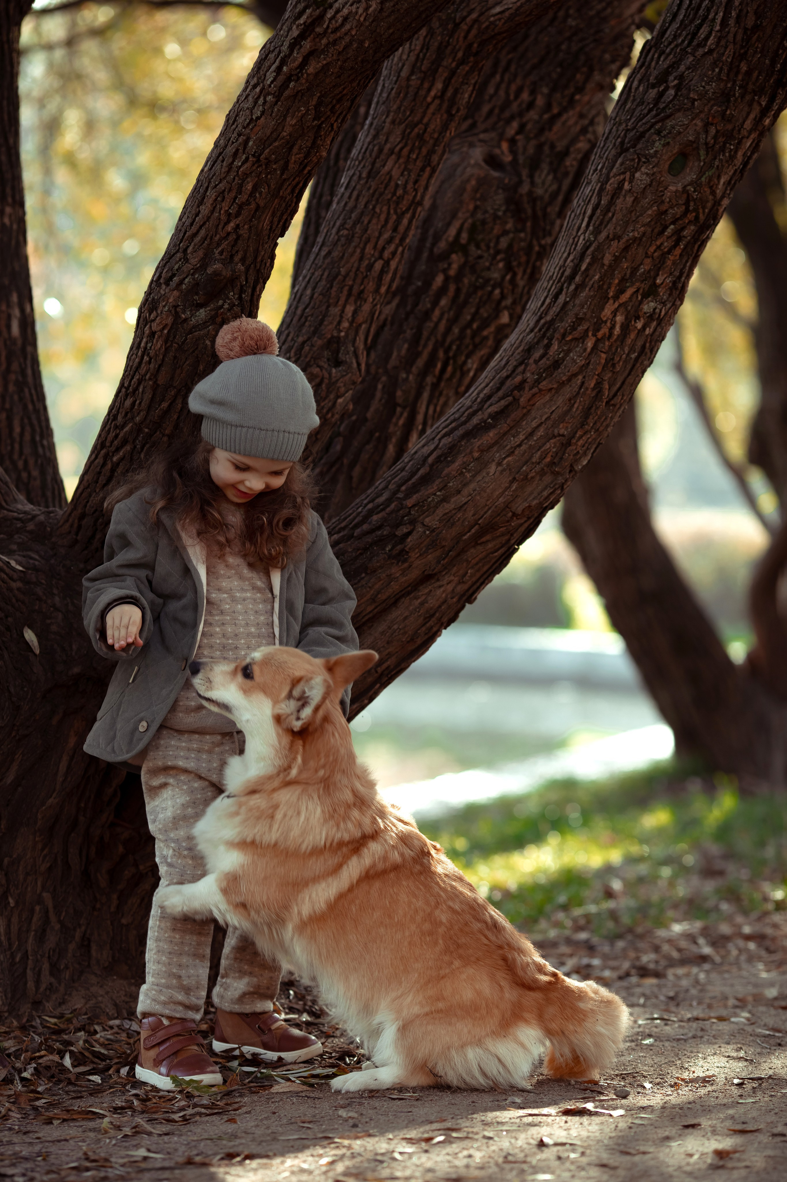 Эва с корги. Семейный и детский фотограф в Москве Дорогова Екатерина