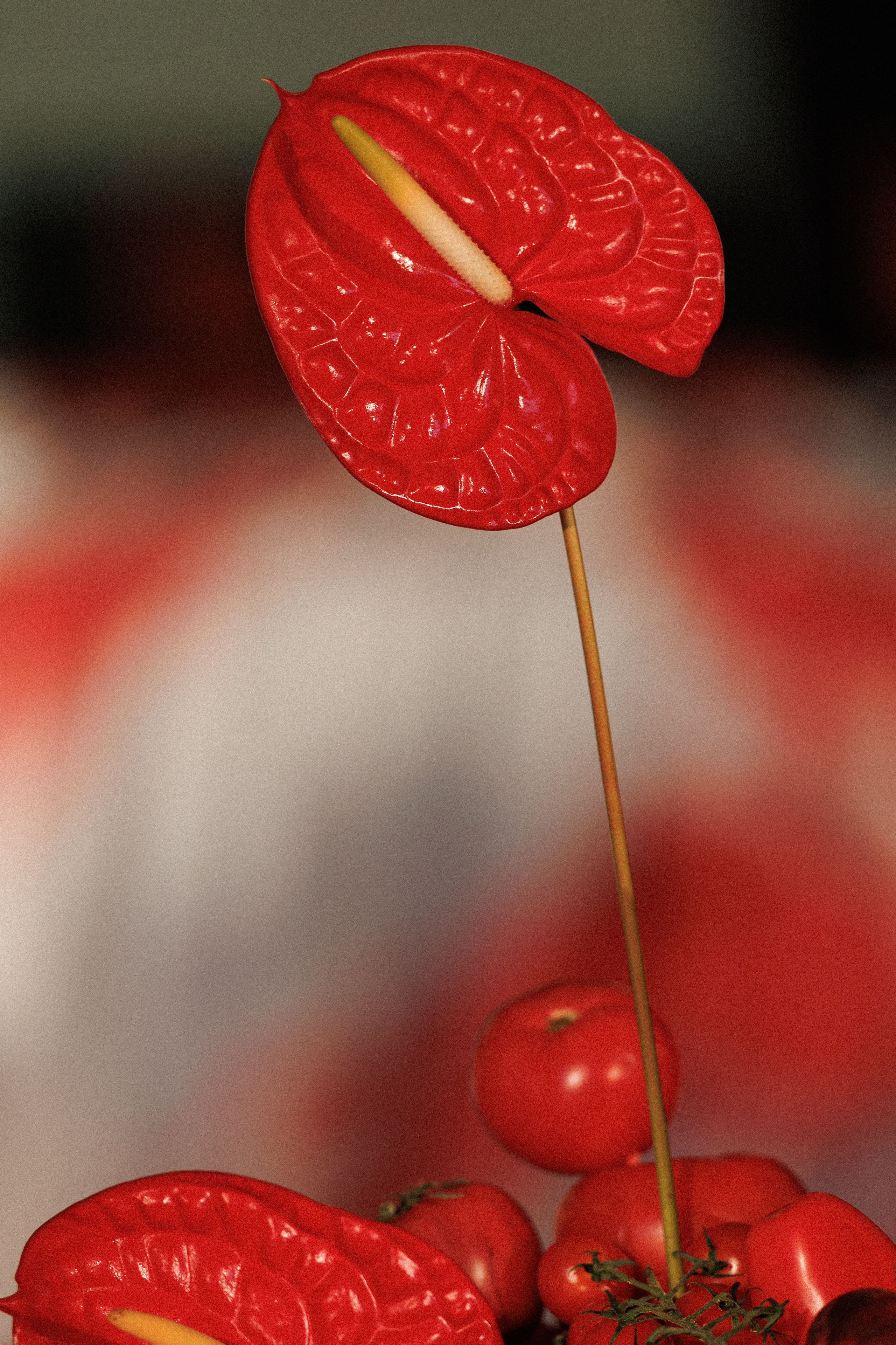 LOVE & HATE | R & N. Свадебный и event-фотограф Иван Волнухин